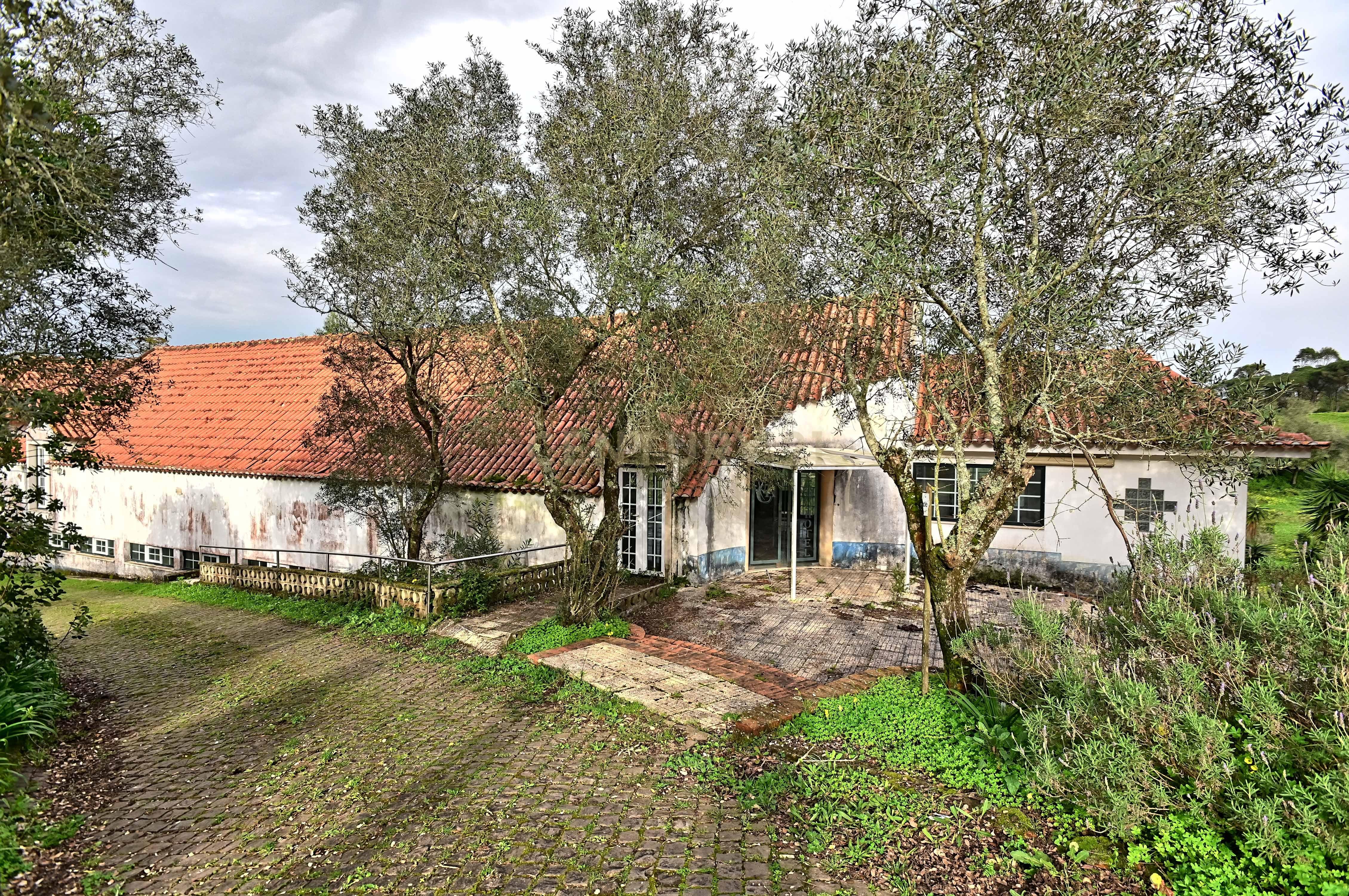 Quinta do Paraíso, Sintra. Aeroporto de Cascais a 25 minutos. - Image 12