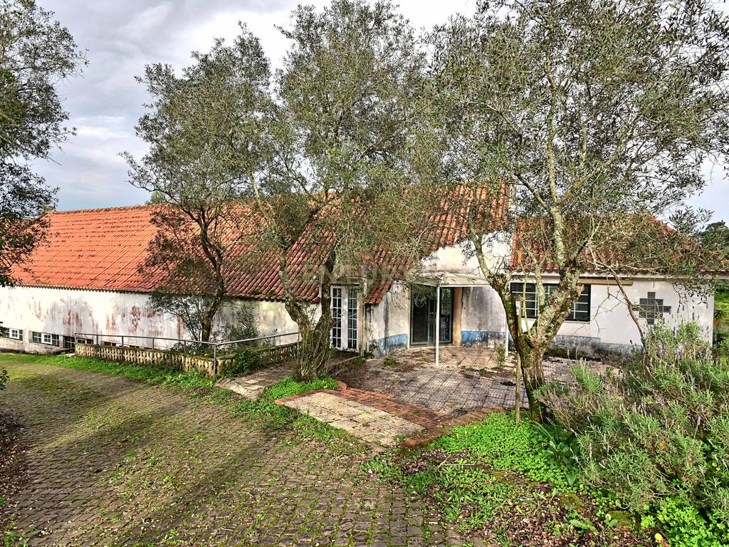Quinta situada em Sintra, com um generoso terreno de 98.200 m². Localização privilegiada, a apenas 25 minutos de Cascais - Image 11