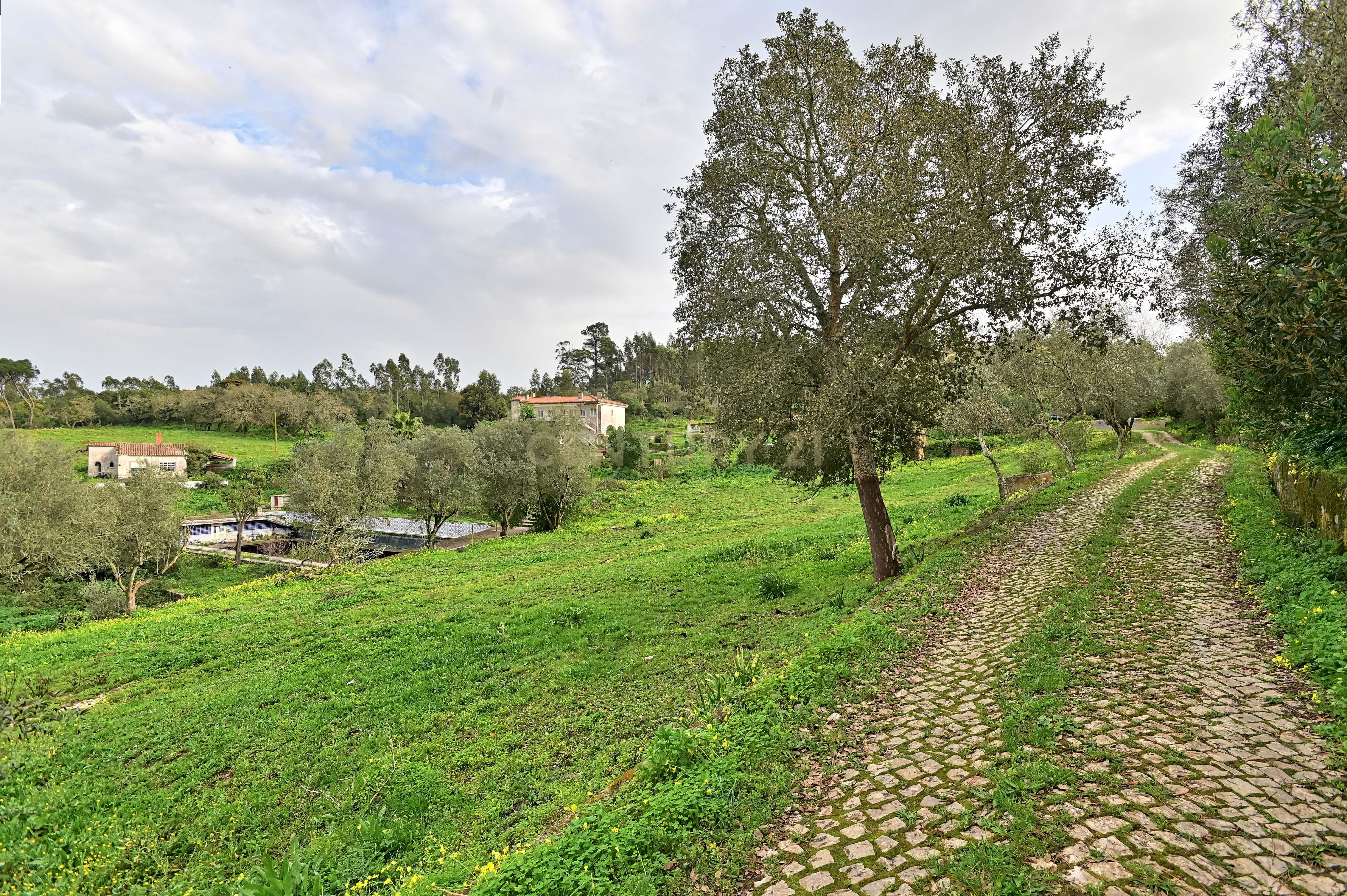 Quinta do Paraíso, Sintra. Aeroporto de Cascais a 25 minutos. - Image 11