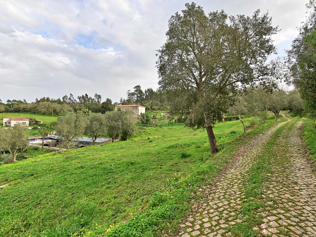 Quinta situada em Sintra, com um generoso terreno de 98.200 m². Localização privilegiada, a apenas 25 minutos de Cascais - Image 10