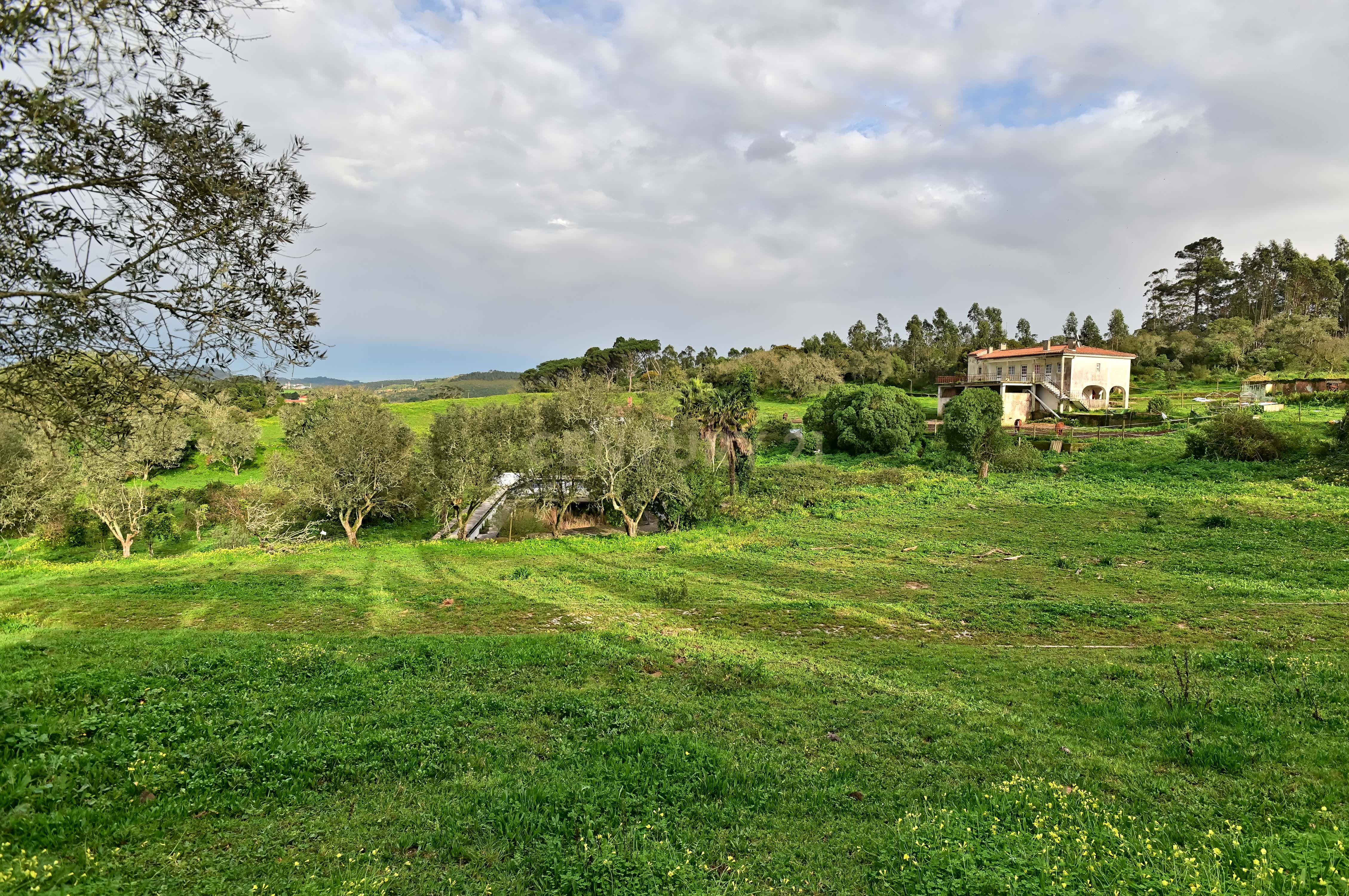 Quinta do Paraíso, Sintra. Aeroporto de Cascais a 25 minutos. - Image 2