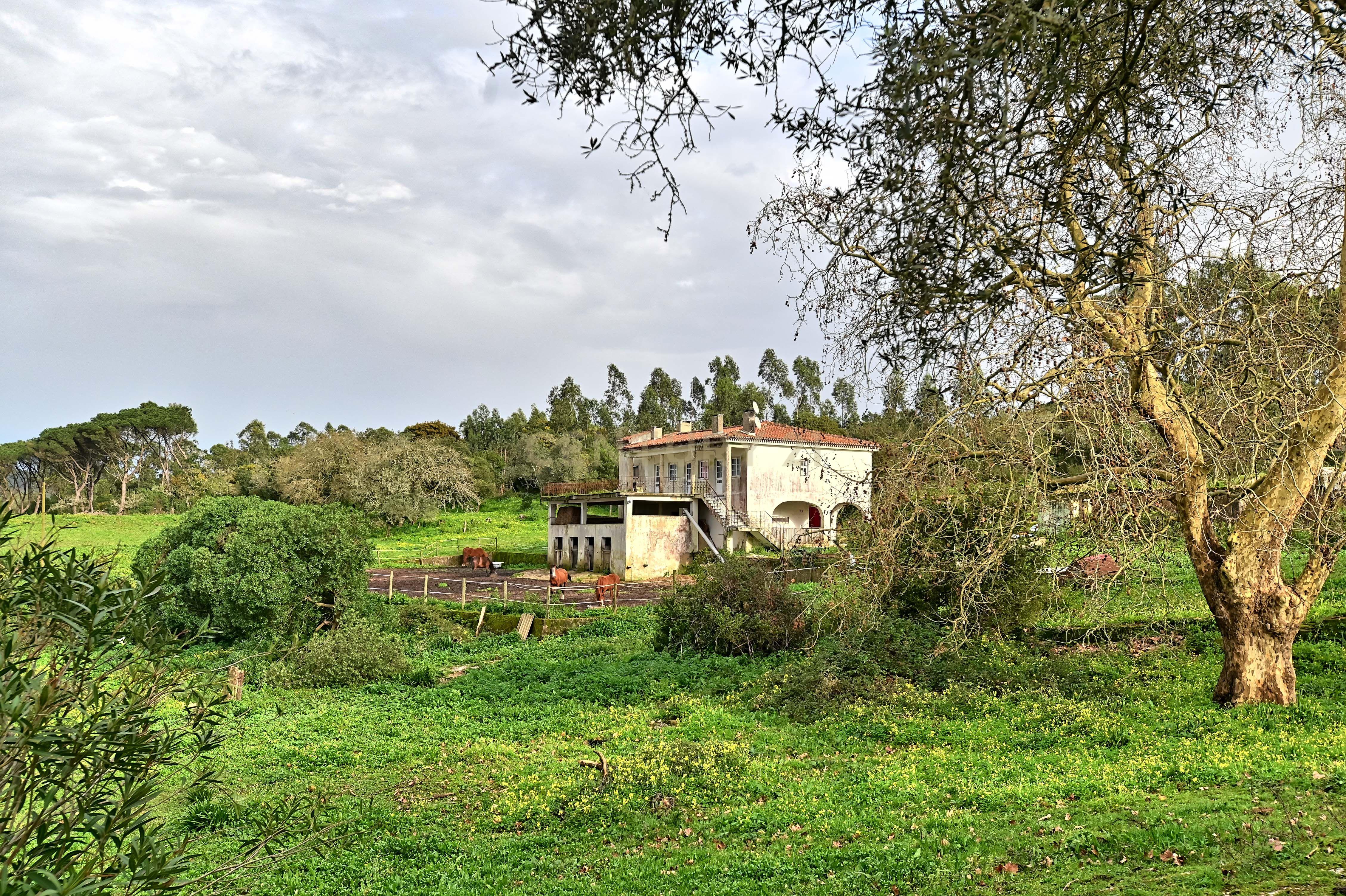 Quinta do Paraíso, Sintra. Aeroporto de Cascais a 25 minutos. - Image 17