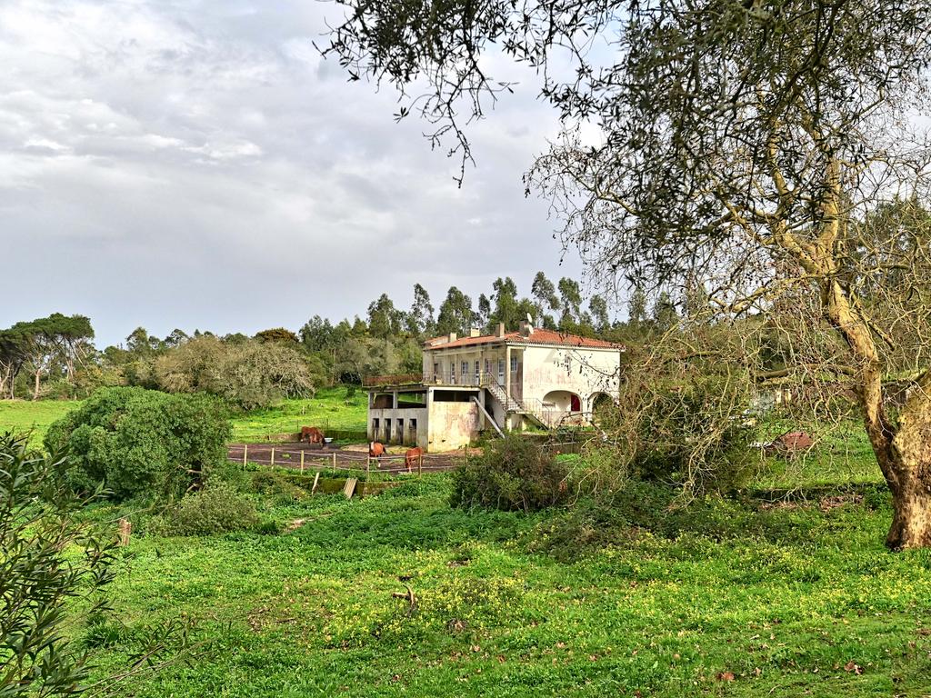 Quinta situada em Sintra, com um generoso terreno de 98.200 m². Localização privilegiada, a apenas 25 minutos de Cascais - Image 17