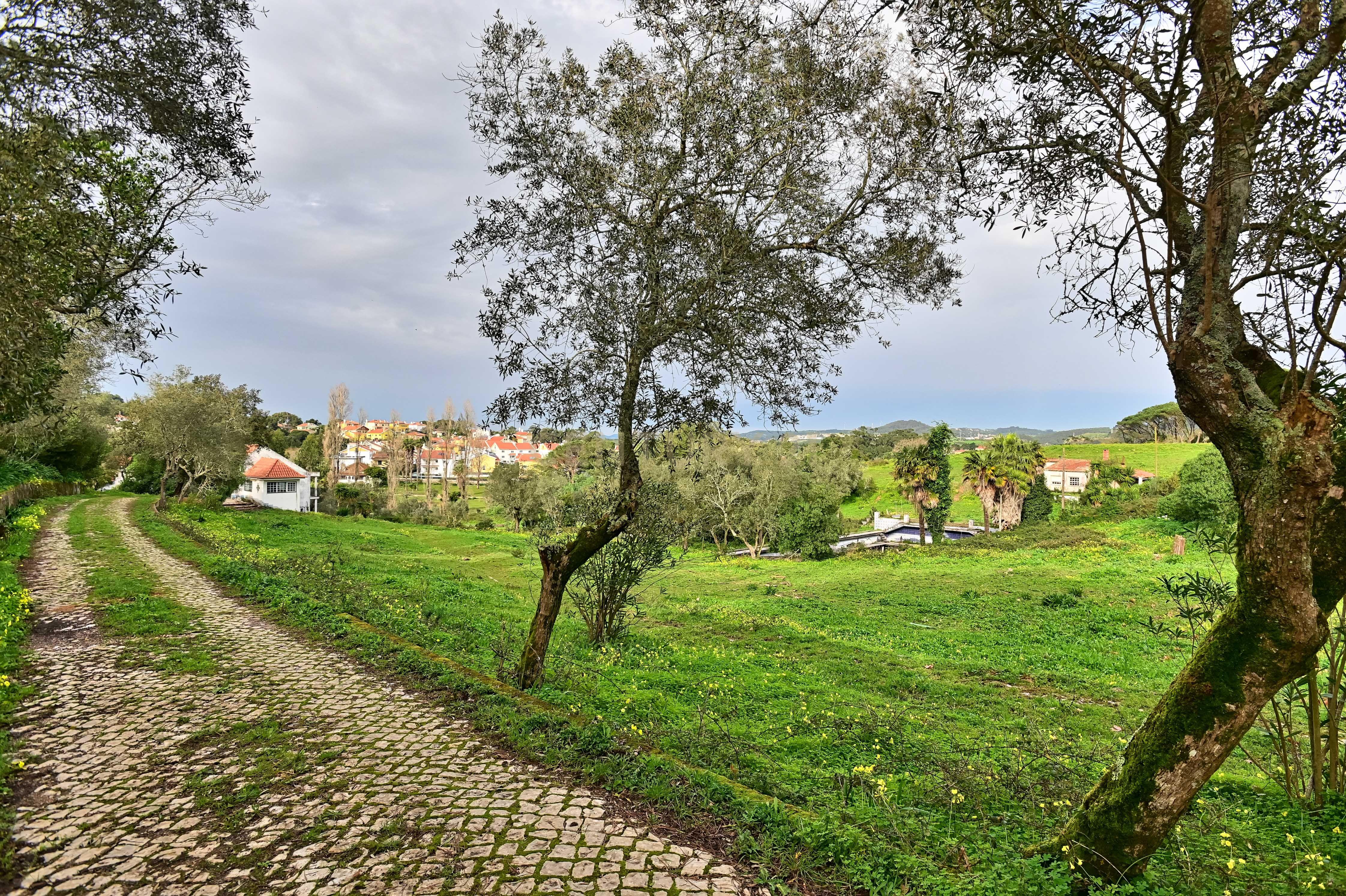 Quinta do Paraíso, Sintra. Aeroporto de Cascais a 25 minutos. - Image 18