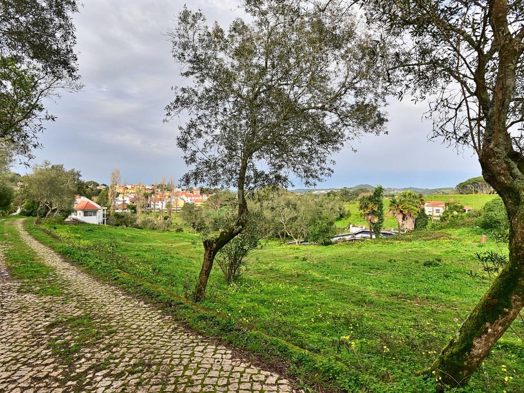 Quinta situada em Sintra, com um generoso terreno de 98.200 m². Localização privilegiada, a apenas 25 minutos de Cascais - Image 18
