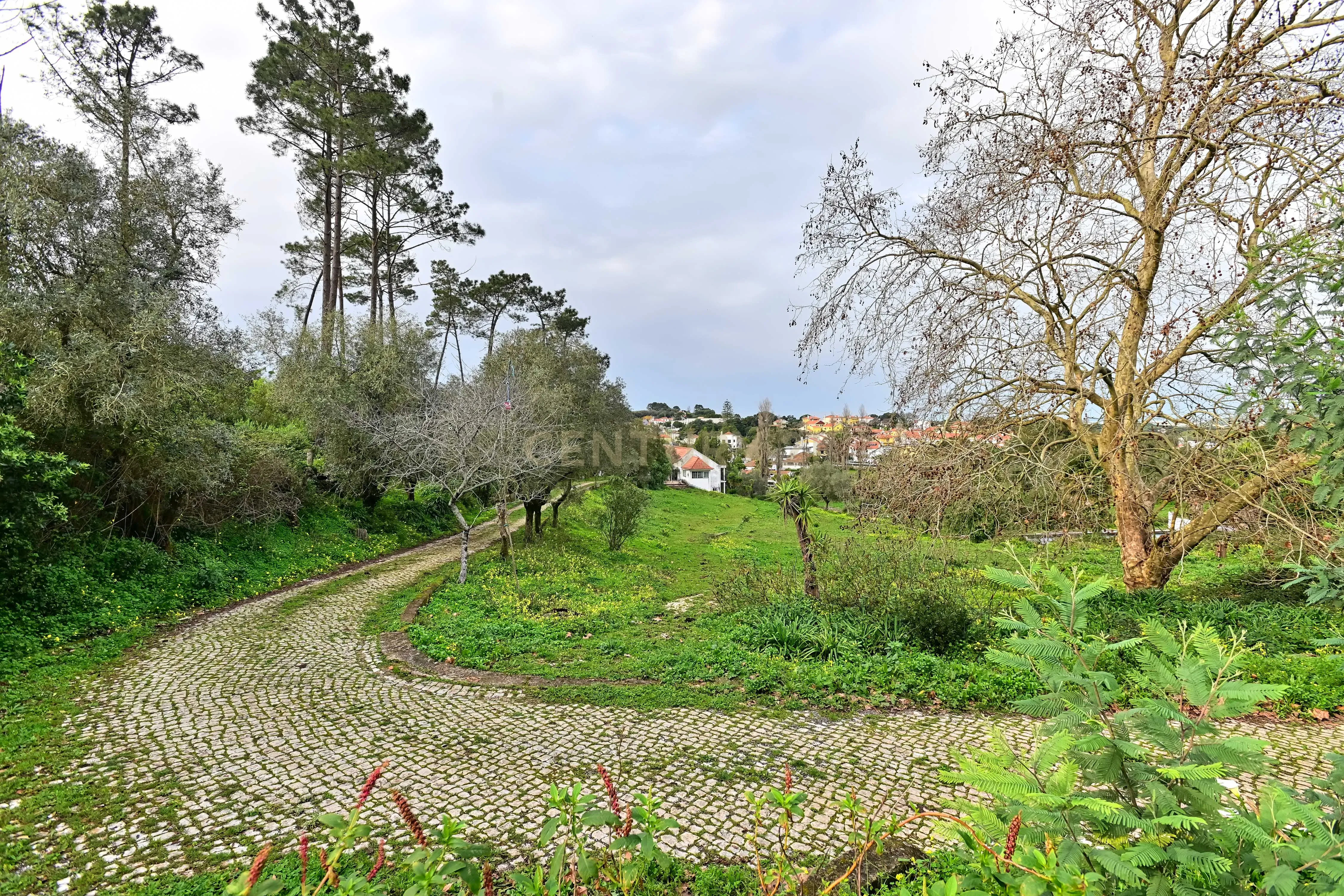 Quinta do Paraíso, Sintra. Aeroporto de Cascais a 25 minutos. - Image 15