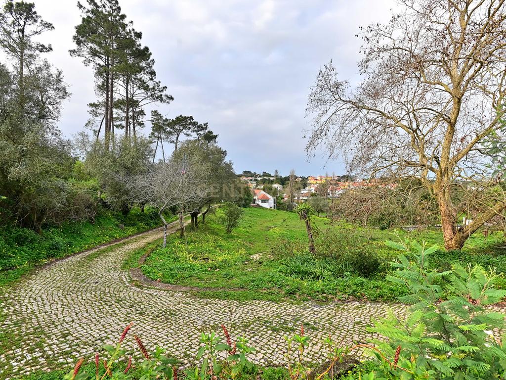 Quinta situada em Sintra, com um generoso terreno de 98.200 m². Localização privilegiada, a apenas 25 minutos de Cascais - Image 15