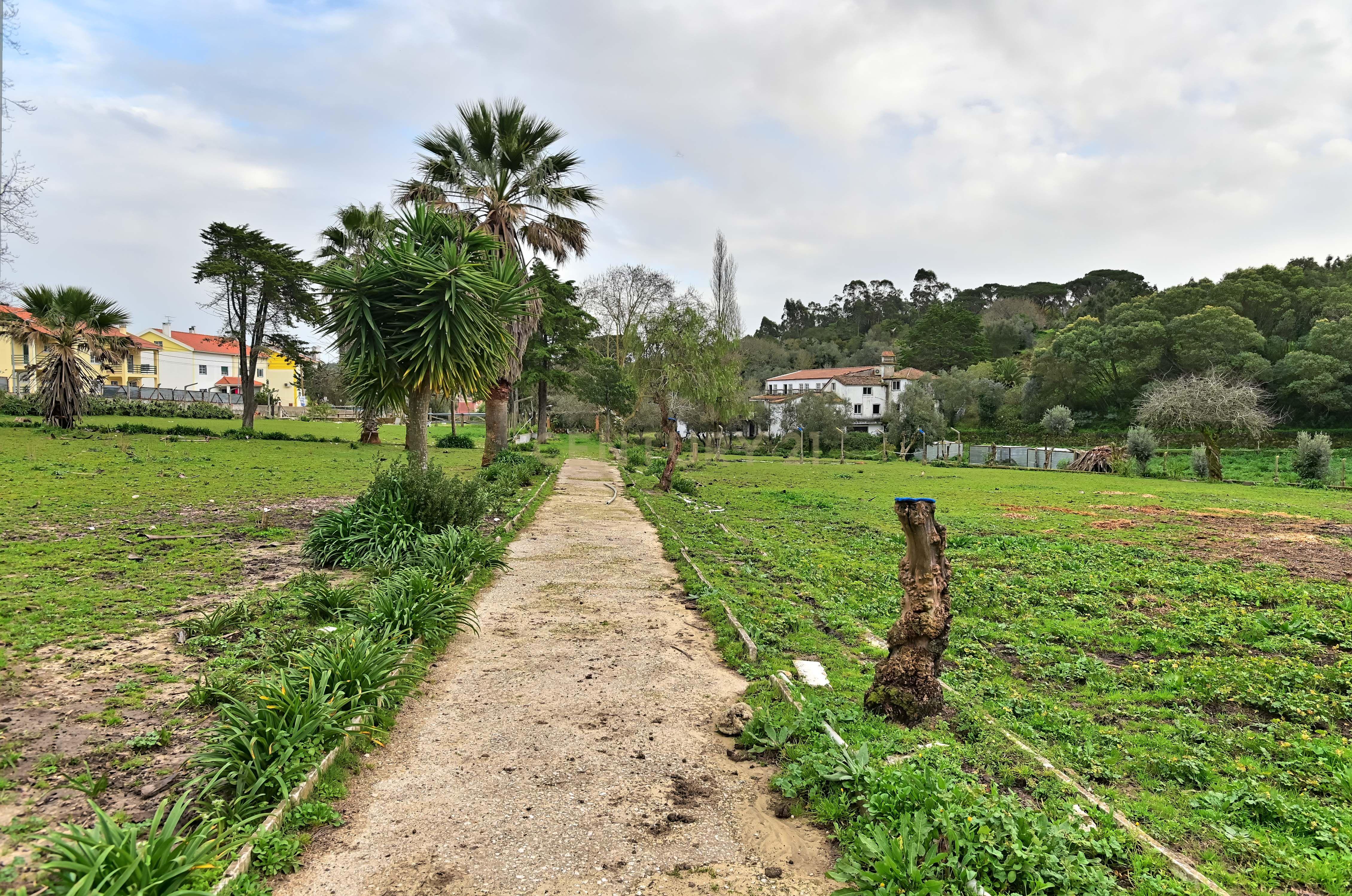 Quinta do Paraíso, Sintra. Aeroporto de Cascais a 25 minutos. - Image 8