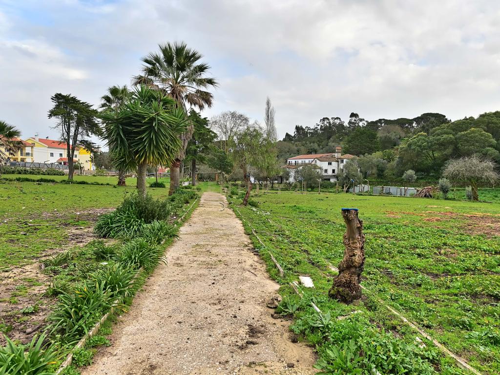Quinta situada em Sintra, com um generoso terreno de 98.200 m². Localização privilegiada, a apenas 25 minutos de Cascais - Image 7