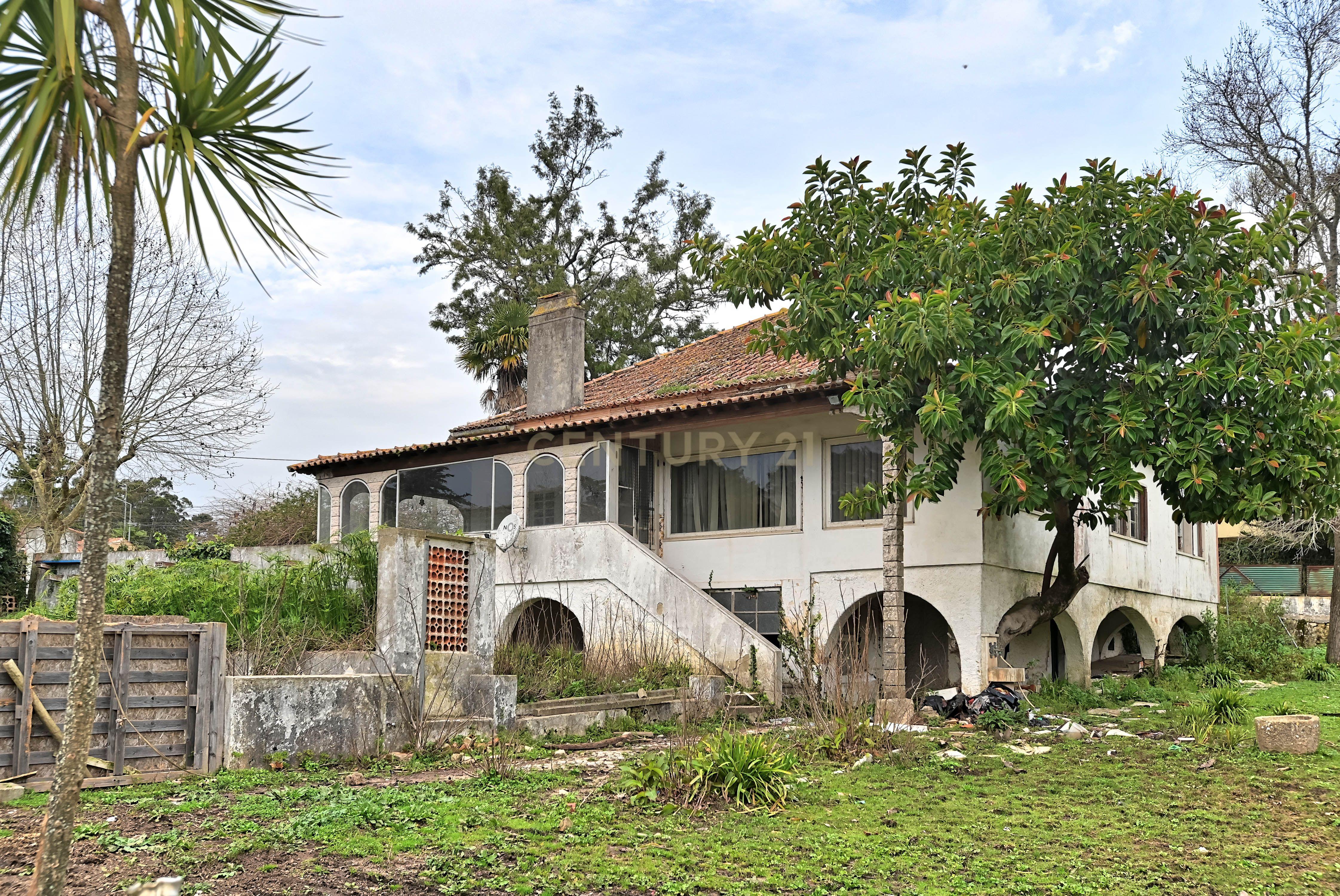 Quinta do Paraíso, Sintra. Aeroporto de Cascais a 25 minutos. - Image 16