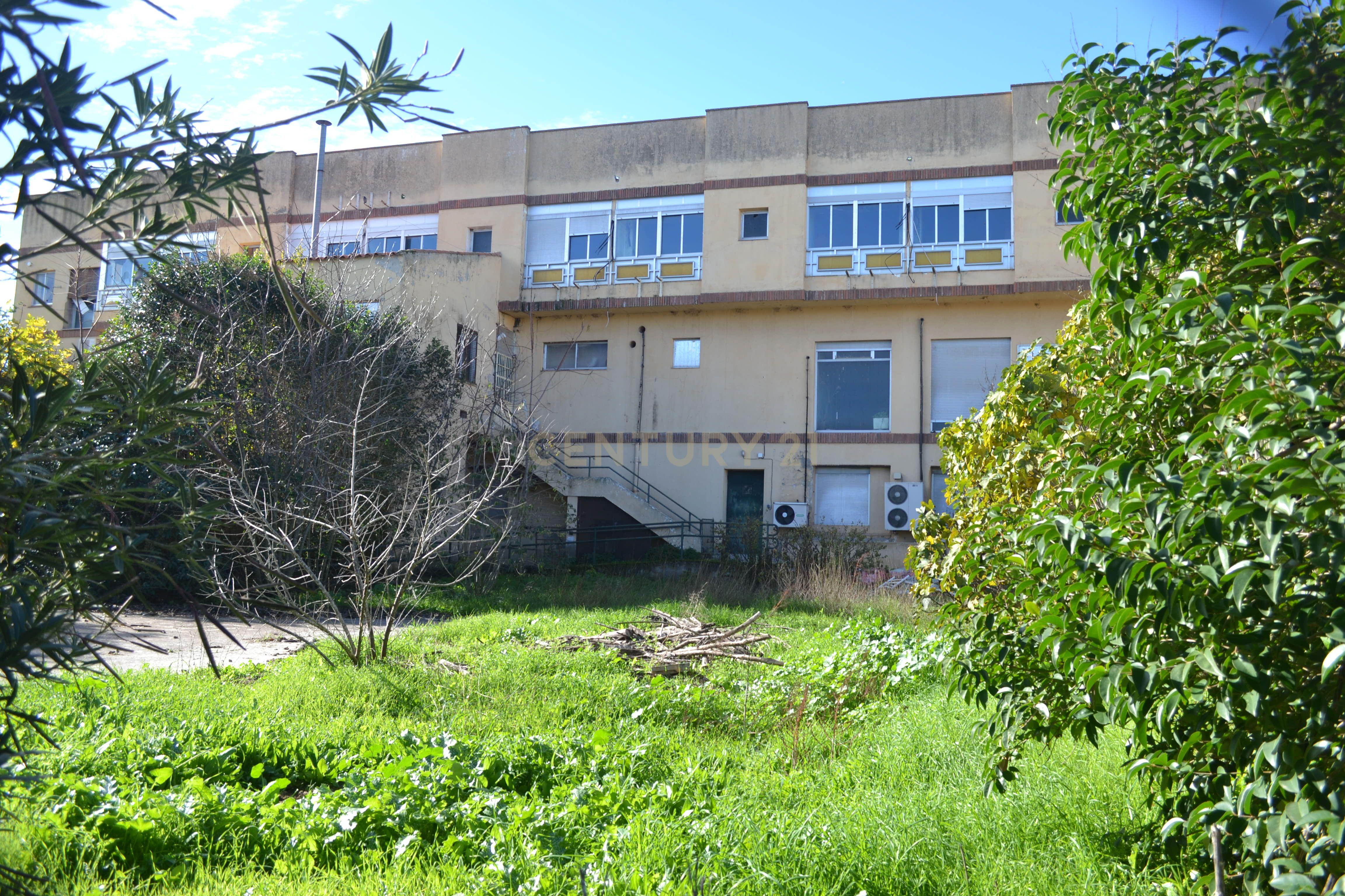 undefined - Image 4
