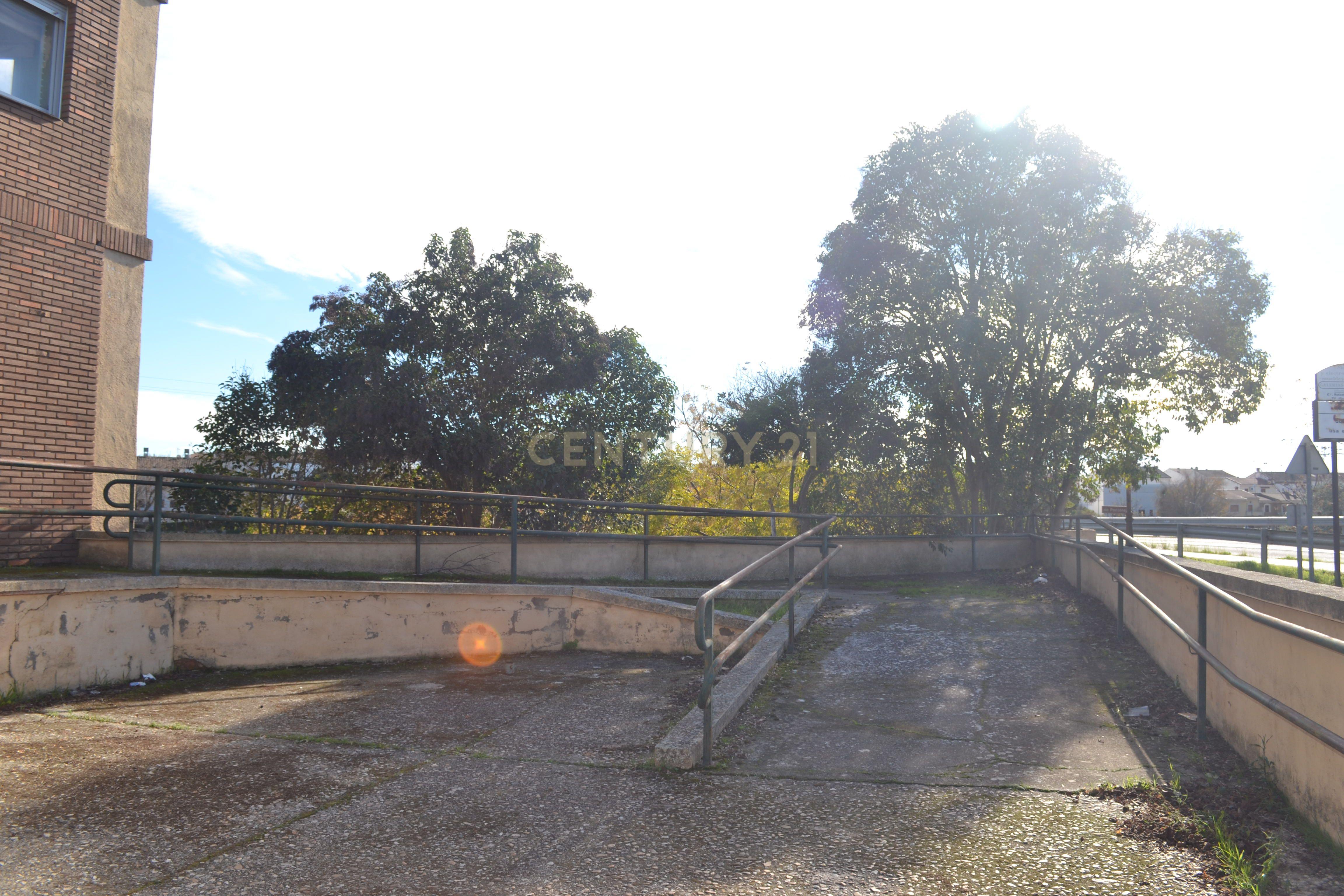 undefined - Image 15