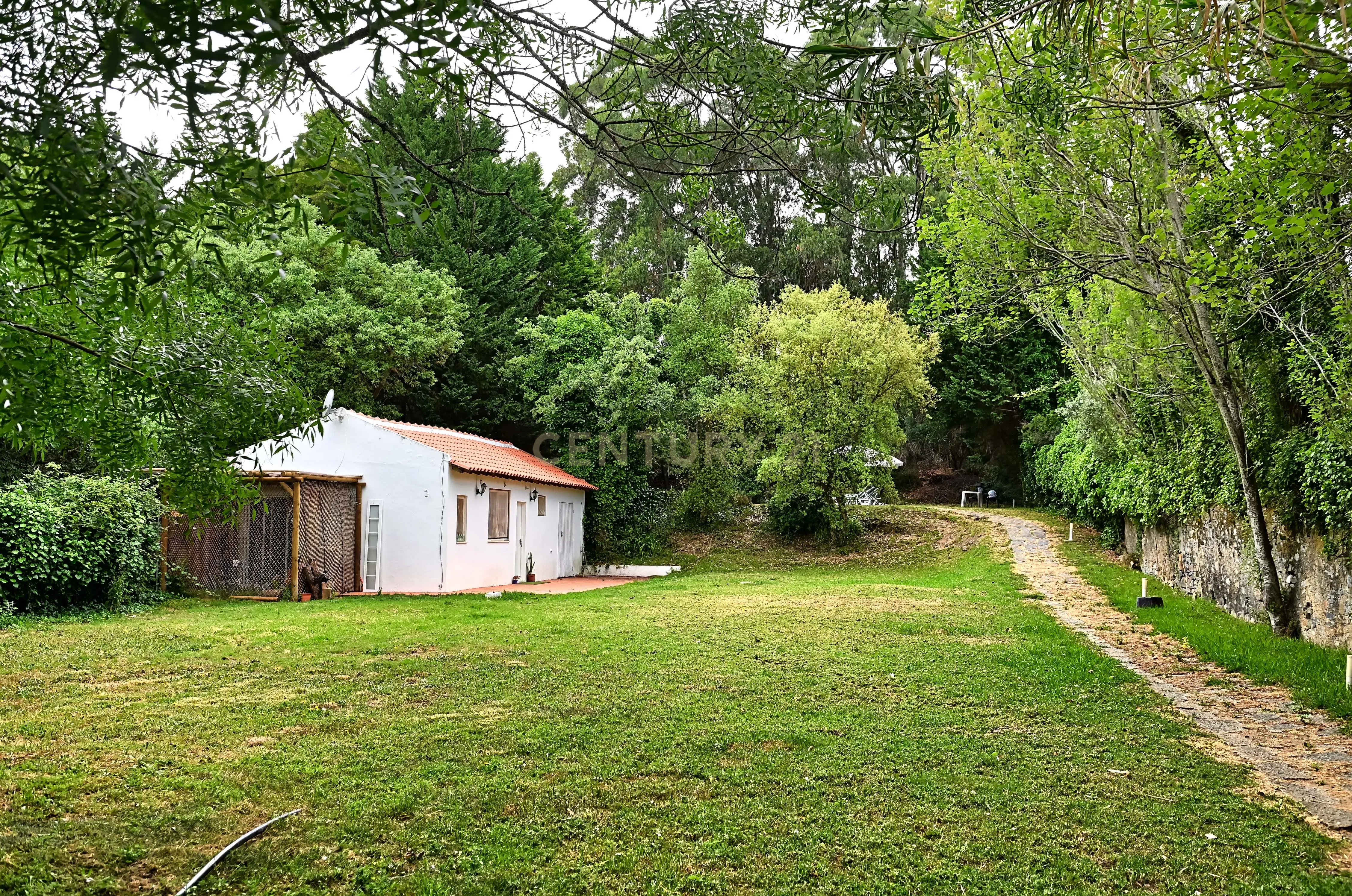 Quinta com 3200 m², LINHÓ - SINTRA - Image 20