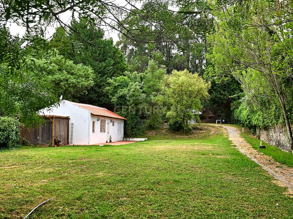 Quinta com 3200 m², LINHÓ - SINTRA - Image 20