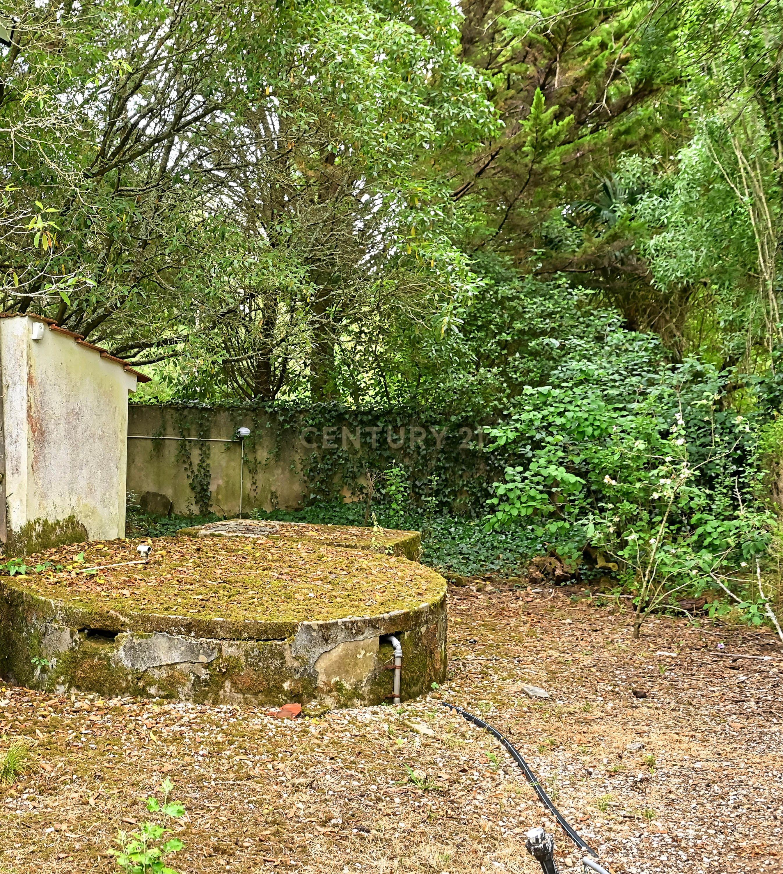 Quinta com 3200 m², LINHÓ - SINTRA - Image 19
