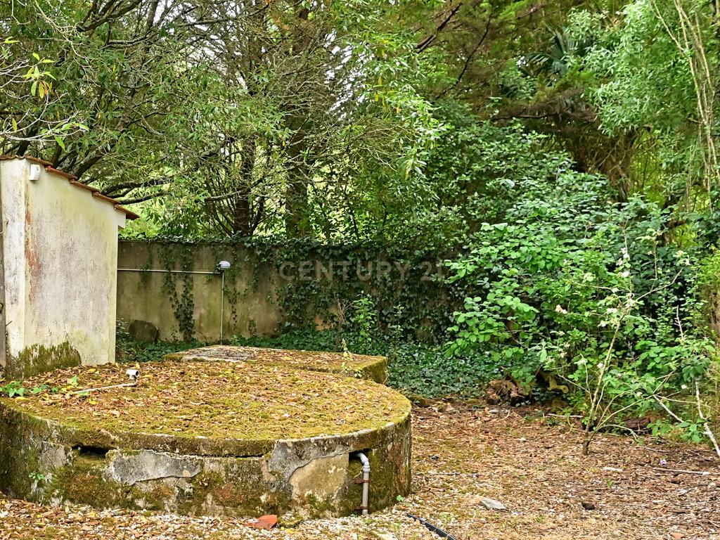 Quinta com 3200 m², LINHÓ - SINTRA - Image 19