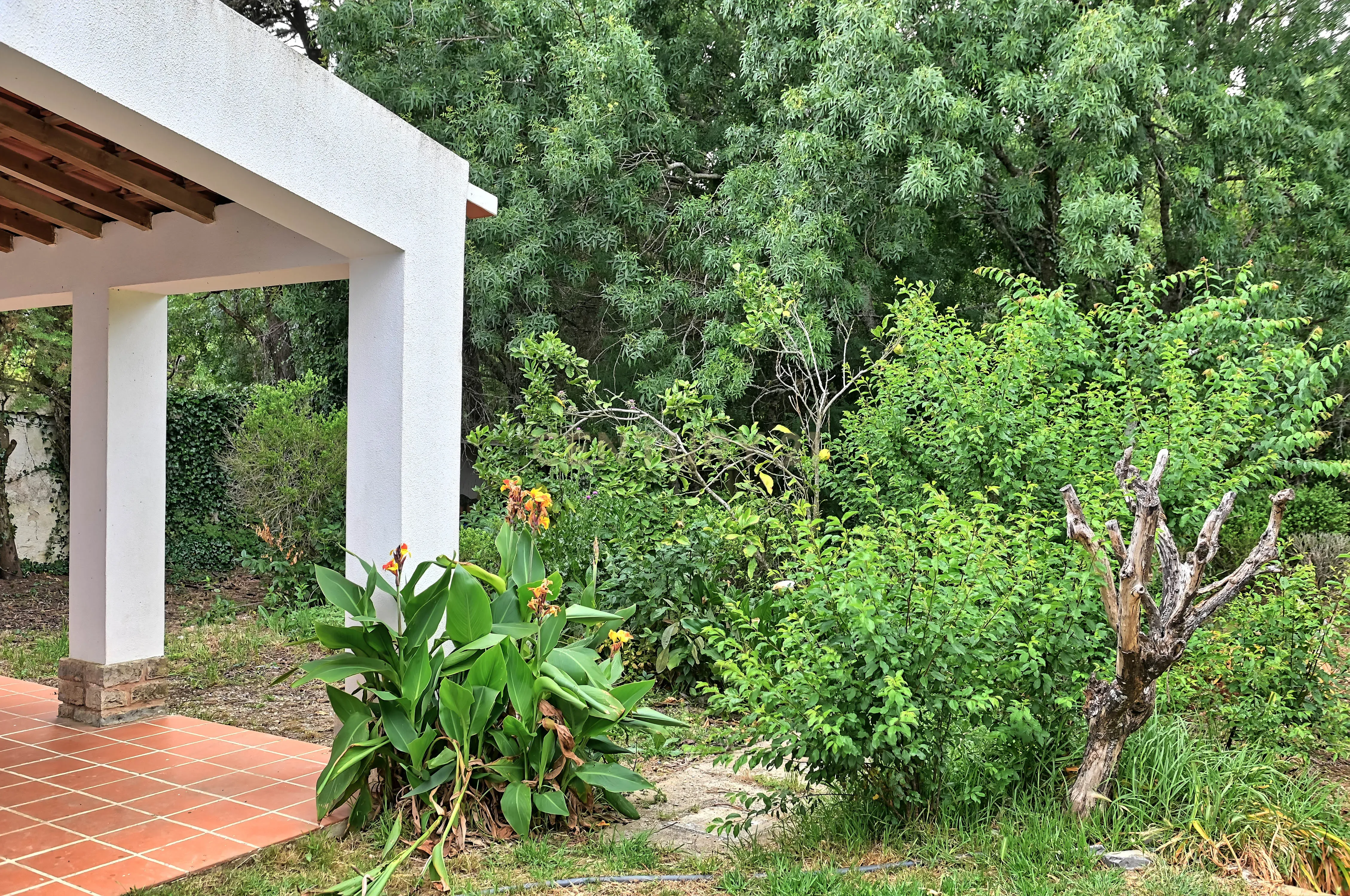 Quinta com 3200 m², LINHÓ - SINTRA - Image 17