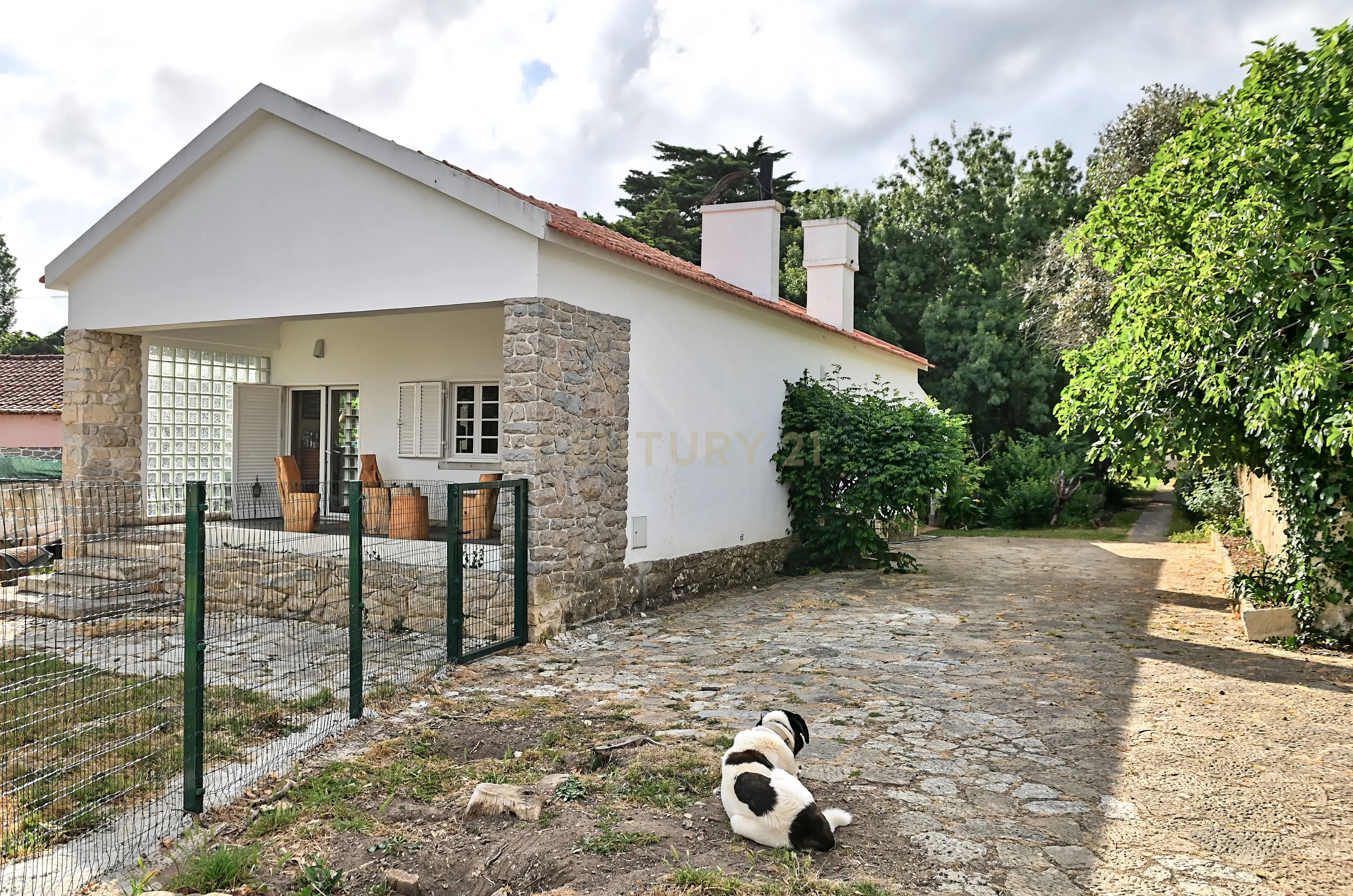 Quinta com 3200 m², LINHÓ - SINTRA - Image 2