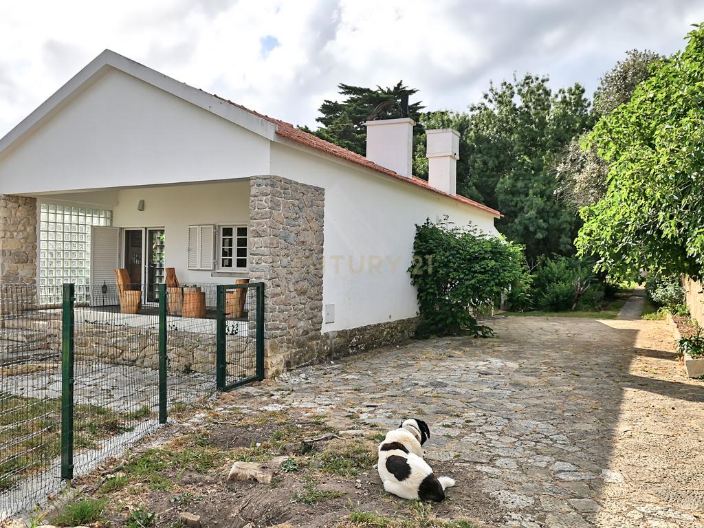 Quinta com 3200 m², LINHÓ - SINTRA - Image 2