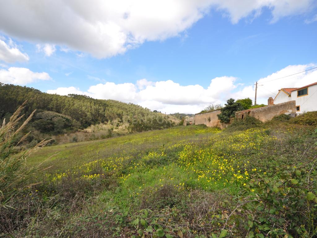 Terreno com Projeto Arquitetónico Aprovado para Quatro Moradias. - Image 14