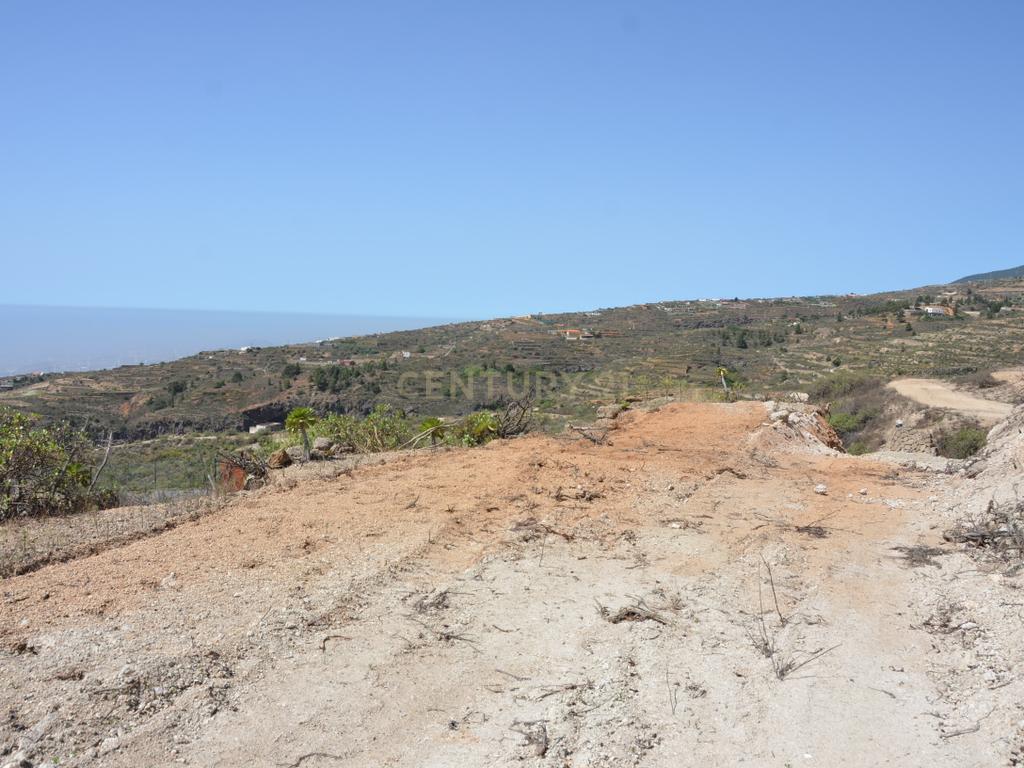 undefined - Image 5