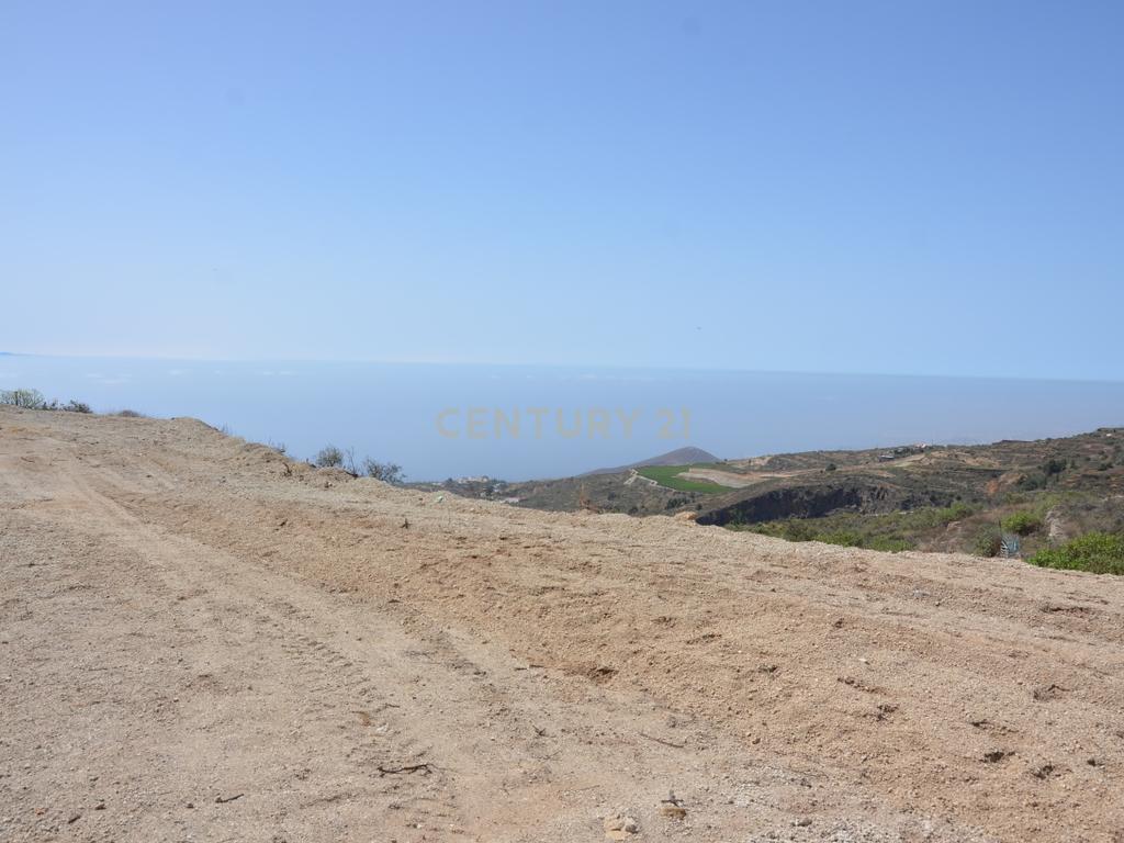 undefined - Image 49