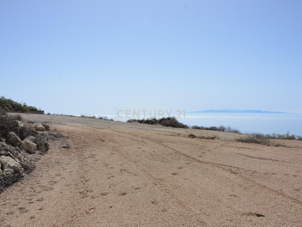 undefined - Image 29