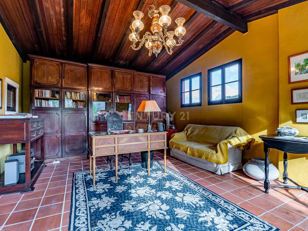 Quinta Velha - “Tenha uma propriedade de luxo perto mas longe dos principais centros.” - Image 69