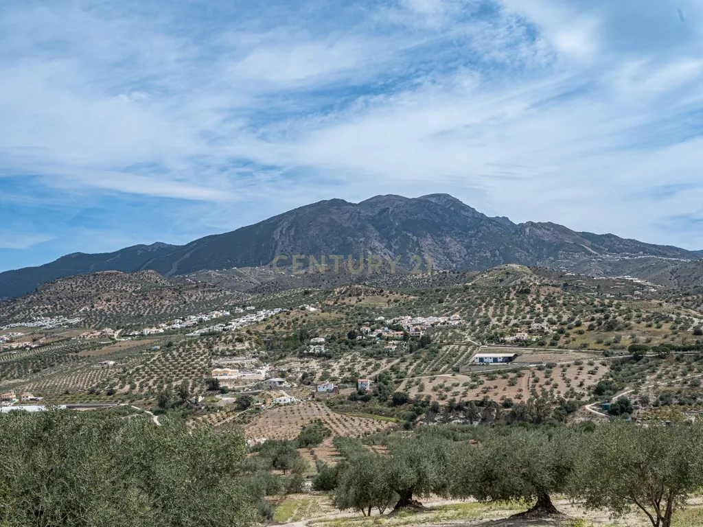 - Image 15