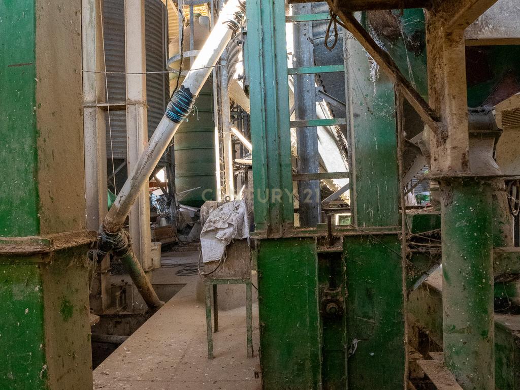 Armazém com negócio de secagem de cereais em funcionamento em Santiago do Cacém - Alvalade do Sado - Image 48