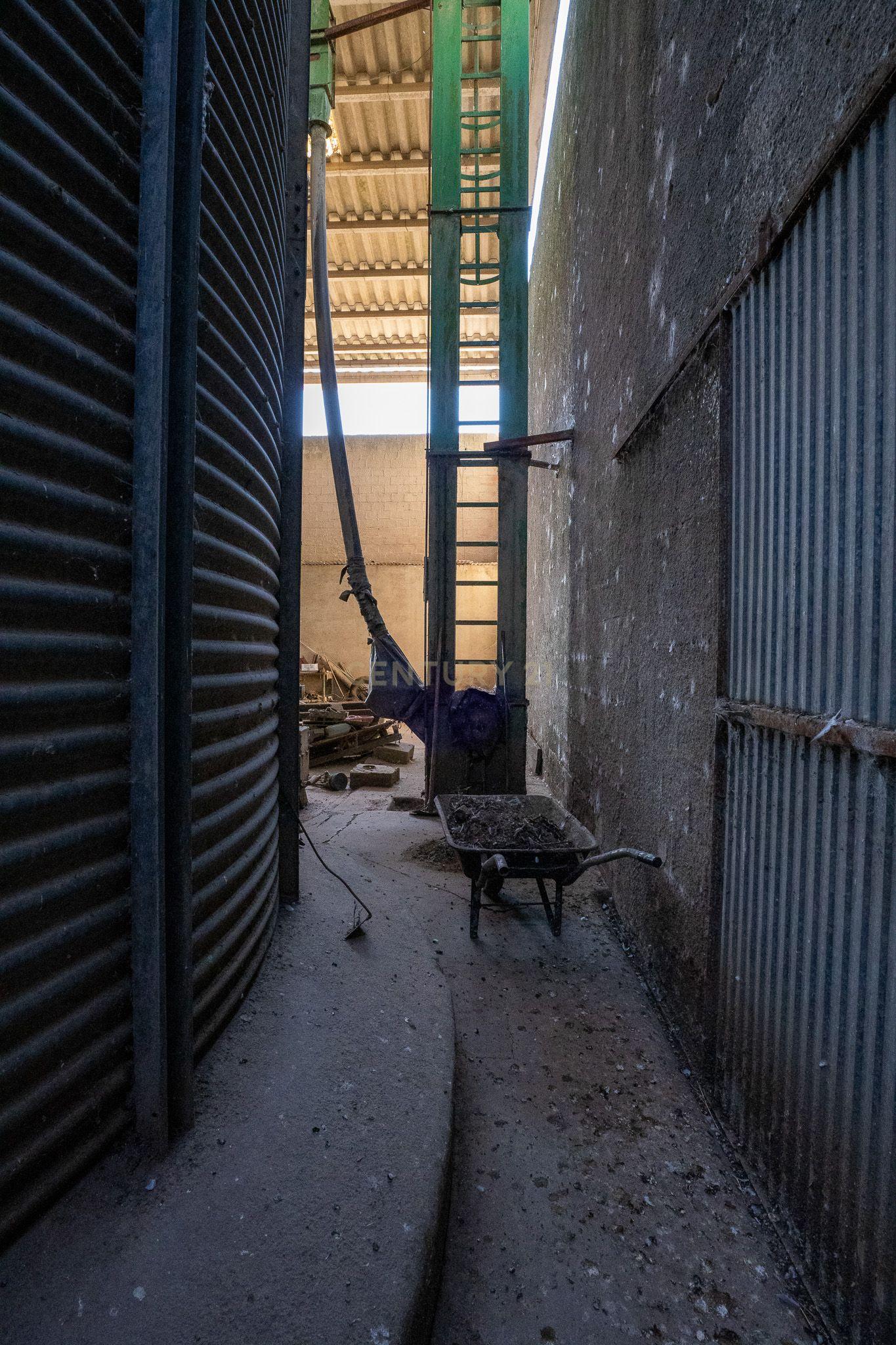 Armazém com negócio de secagem de cereais em funcionamento em Santiago do Cacém - Alvalade do Sado - Image 53