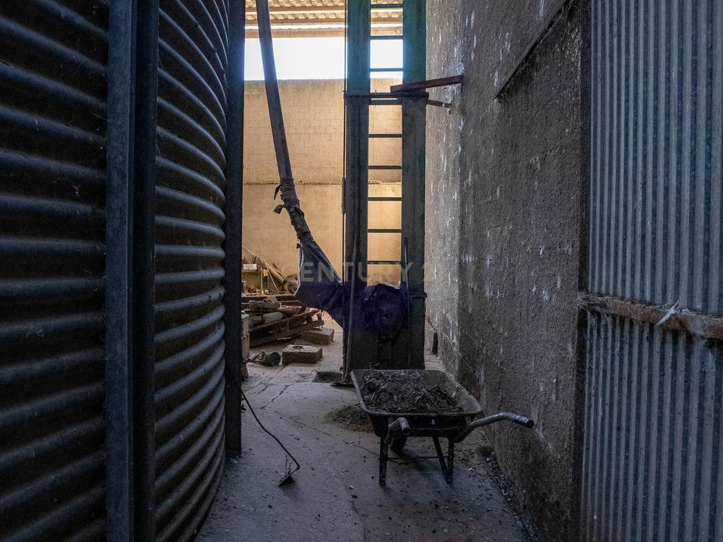 Armazém com negócio de secagem de cereais em funcionamento em Santiago do Cacém - Alvalade do Sado - Image 53
