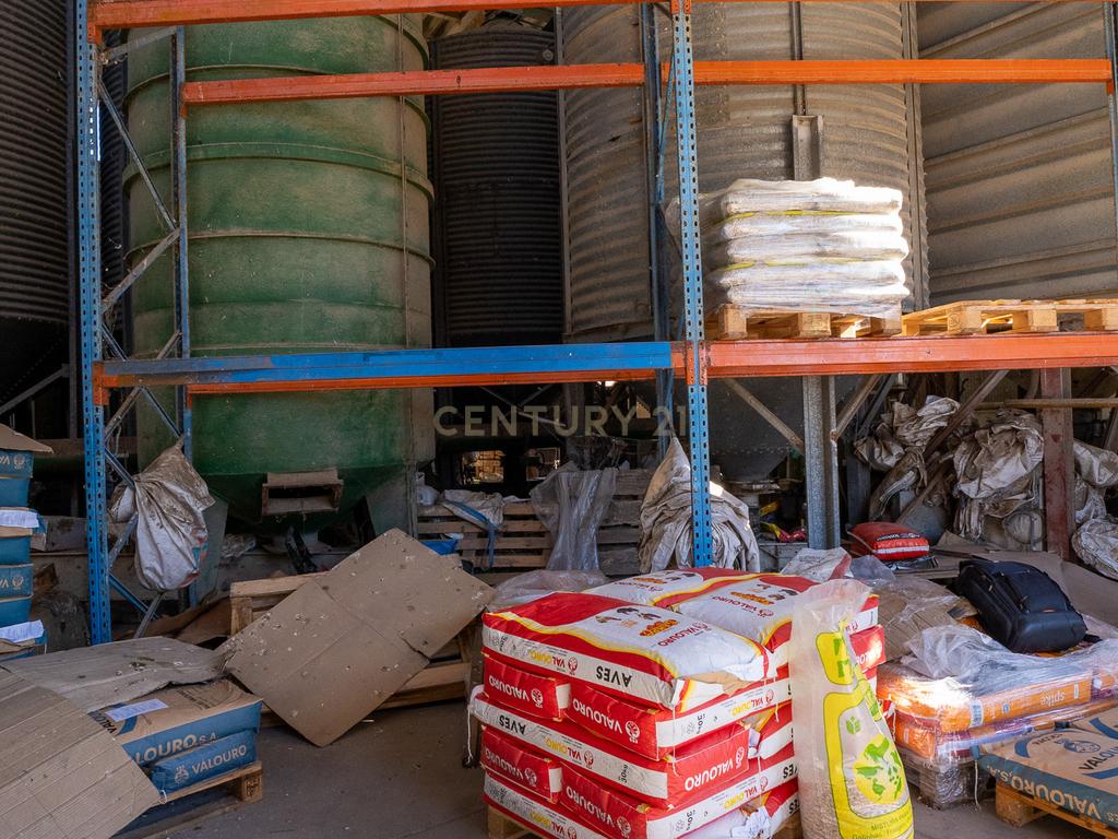 Armazém com negócio de secagem de cereais em funcionamento em Santiago do Cacém - Alvalade do Sado - Image 33