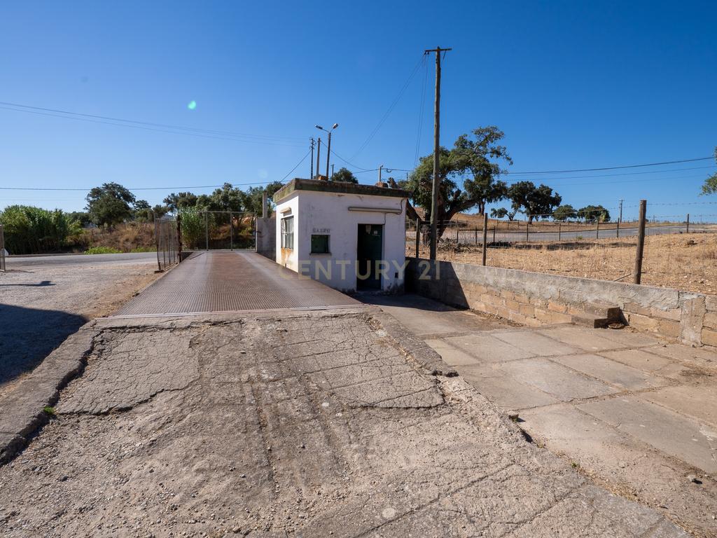Armazém com negócio de secagem de cereais em funcionamento em Santiago do Cacém - Alvalade do Sado - Image 55