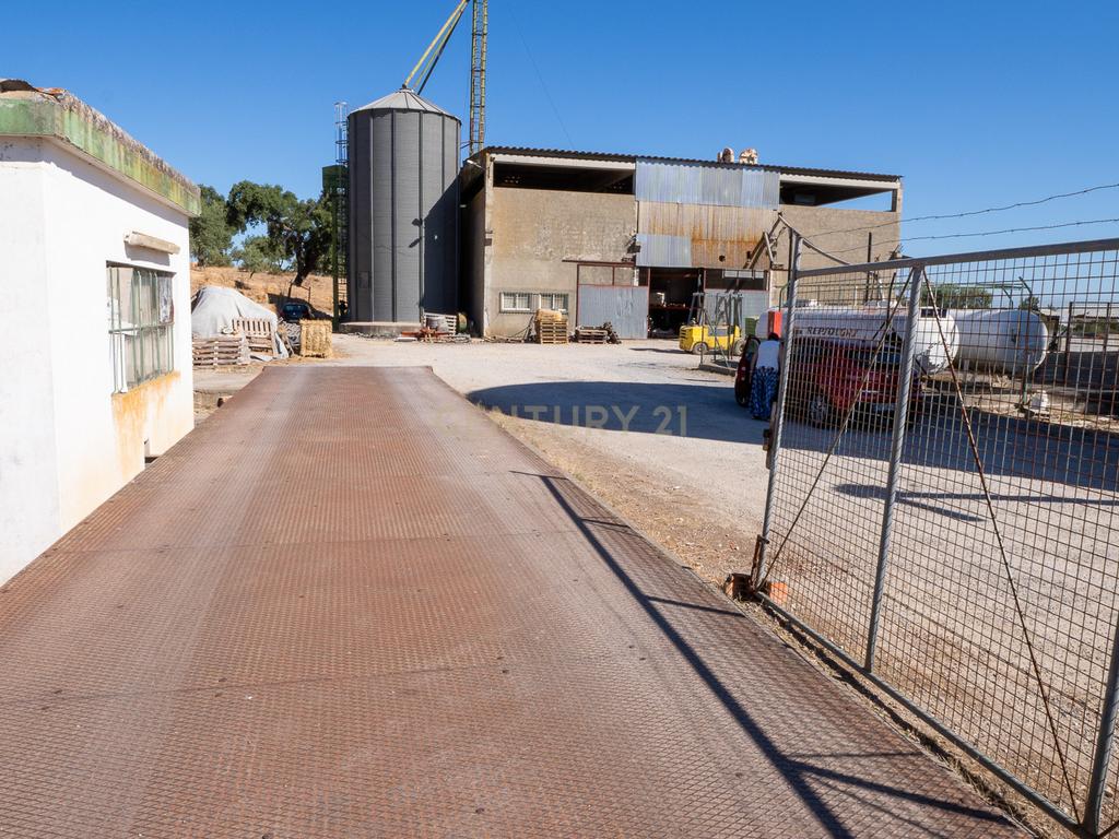Armazém com negócio de secagem de cereais em funcionamento em Santiago do Cacém - Alvalade do Sado - Image 46