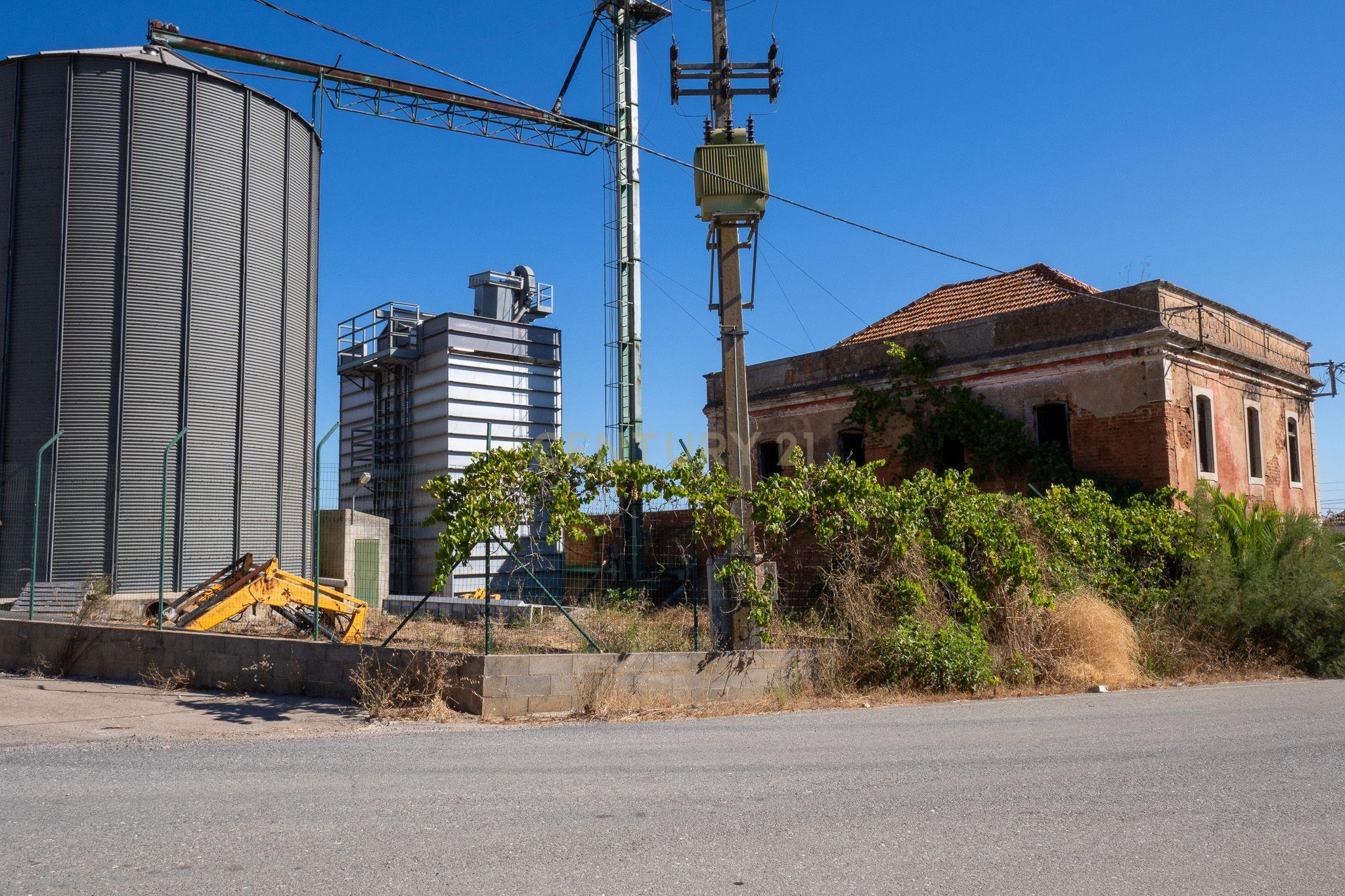 Armazém com negócio de secagem de cereais em funcionamento em Santiago do Cacém - Alvalade do Sado - Image 57