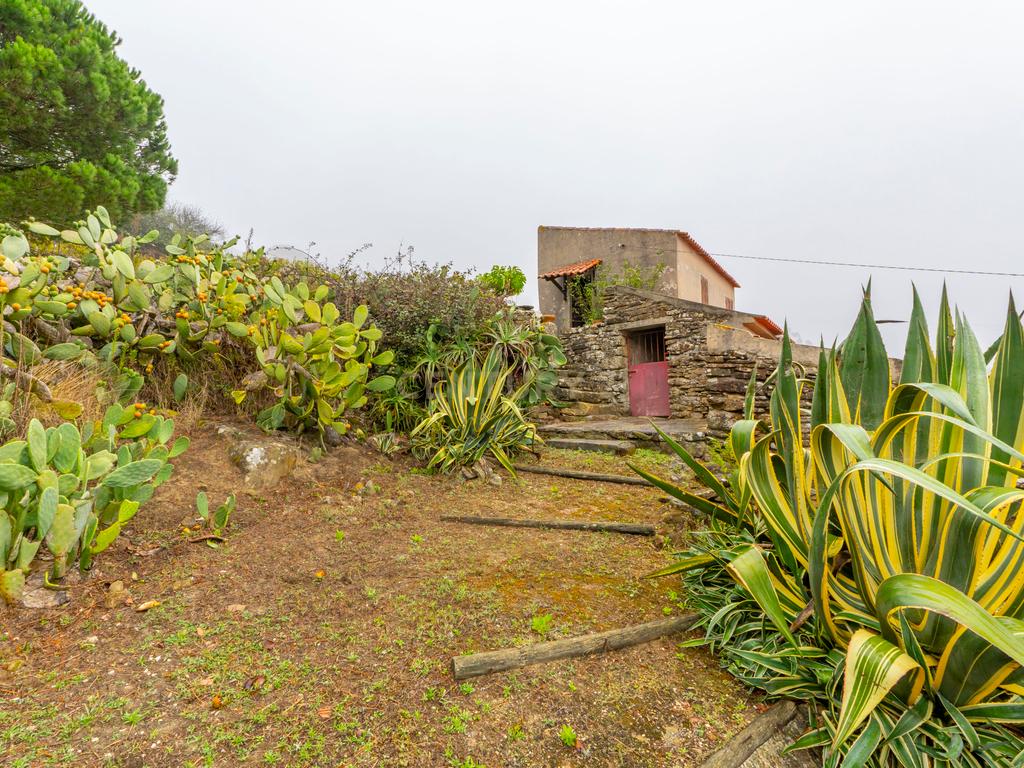 Moradia típica na Serra de Montejunto – Ideal para viver ou investir em turismo rural - Image 27