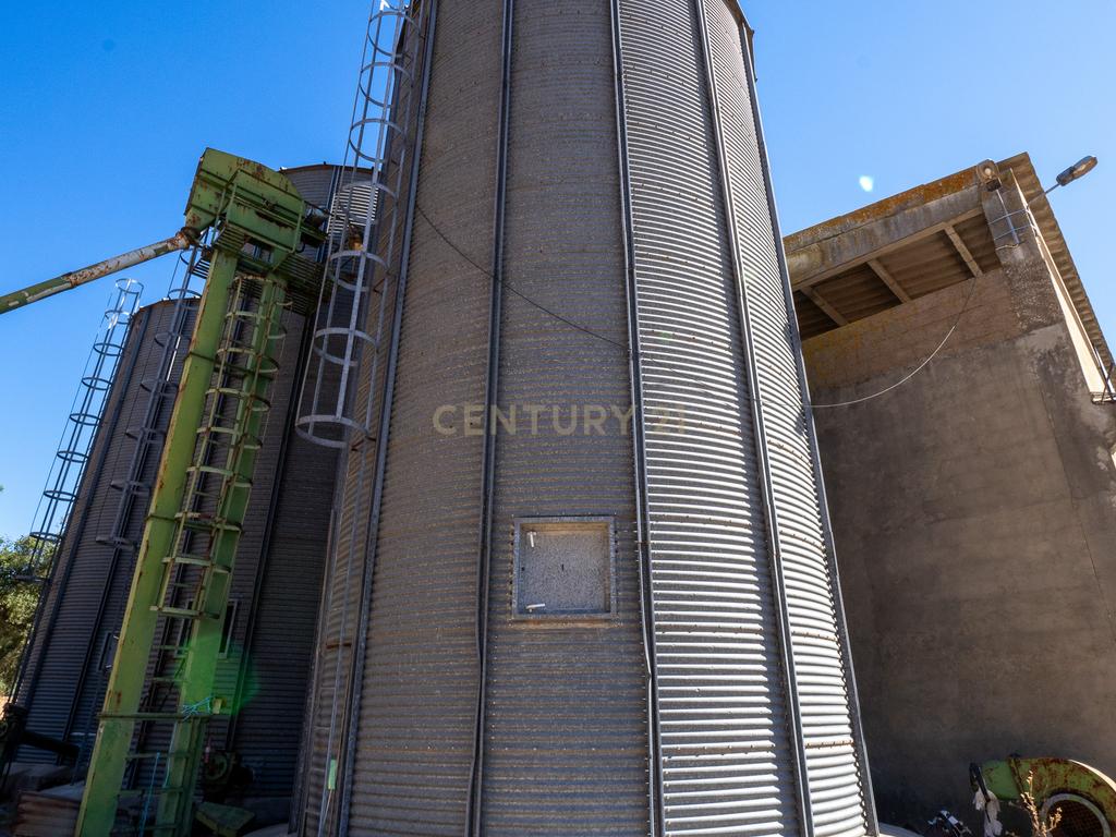 Armazém com negócio de secagem de cereais em funcionamento em Santiago do Cacém - Alvalade do Sado - Image 42