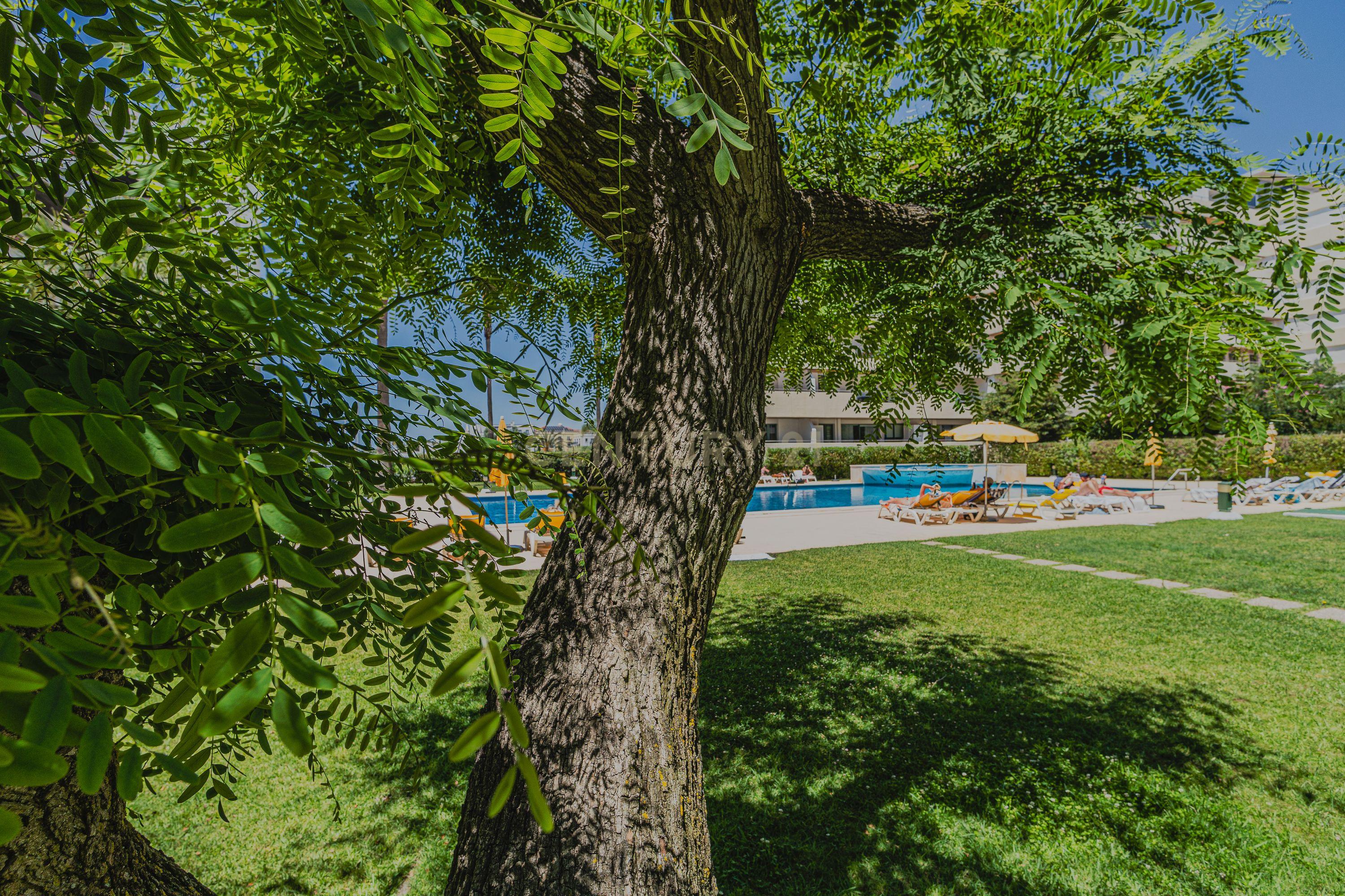 Apartamento com vista deslumbrante sobre a Marina de Vilamoura! - Image 42