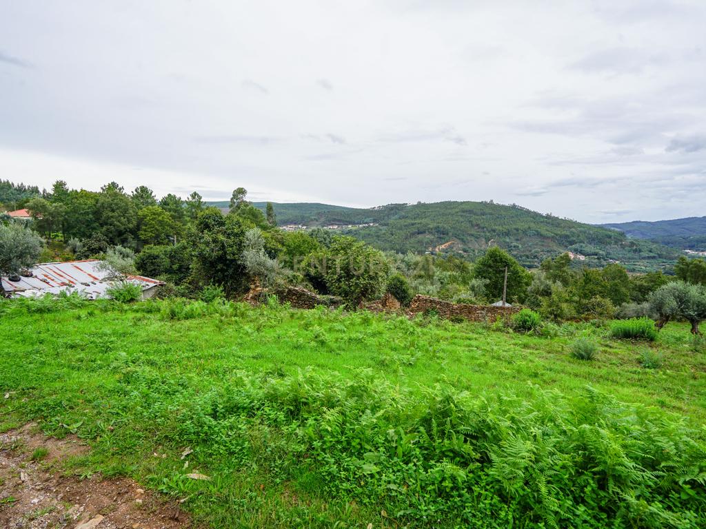 Terreno urbano com projeto aprovado situado em Peão, Góis. - Image 7