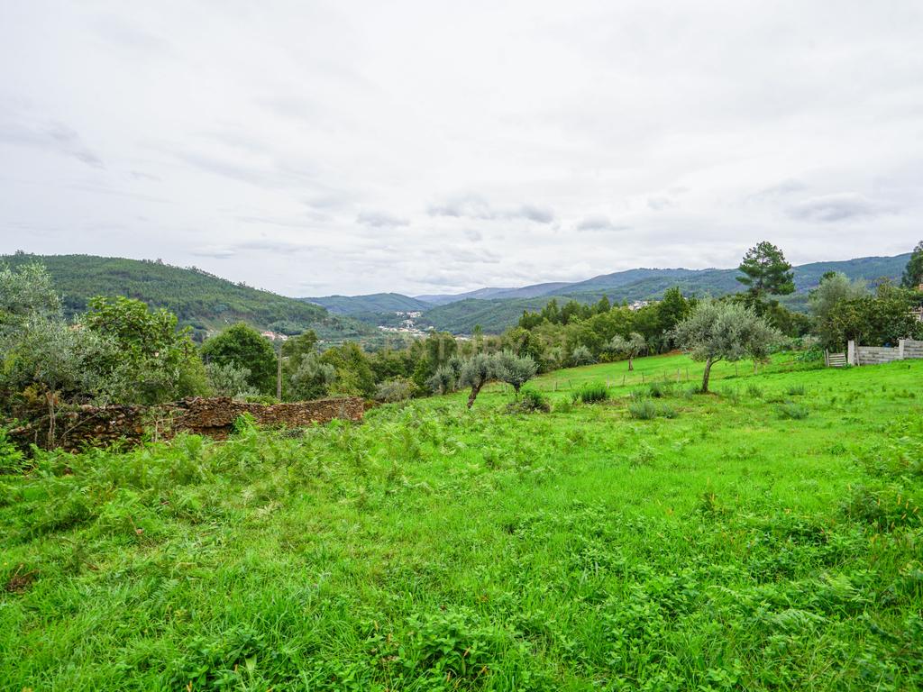 Terreno urbano com projeto aprovado situado em Peão, Góis. - Image 8
