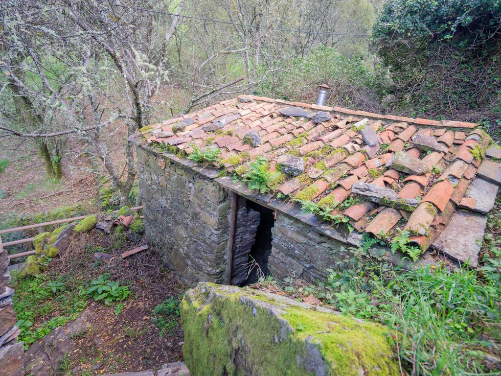 Duas casas de pedra para restaurar em aldeia de xisto. Junto de café e riacho. Excelente localização e ótima oportunidade - Image 4