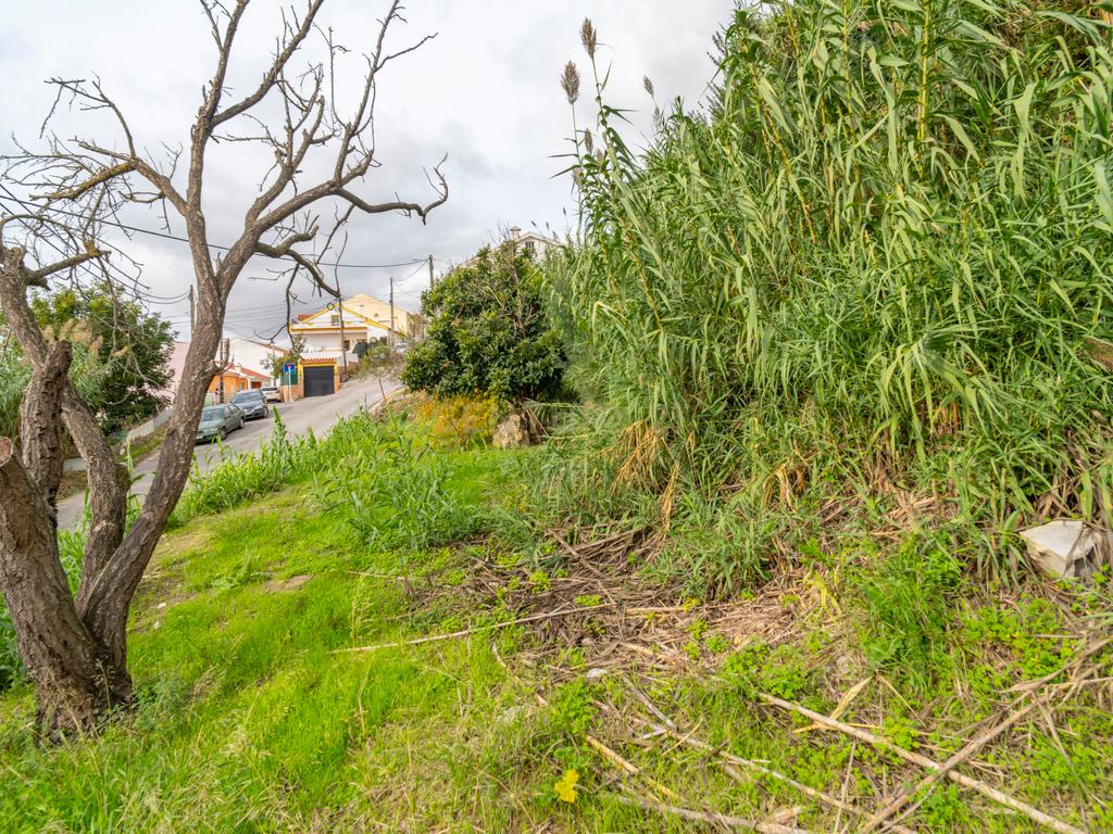 Terreno urbano em Unhos, Catujal - Image 5