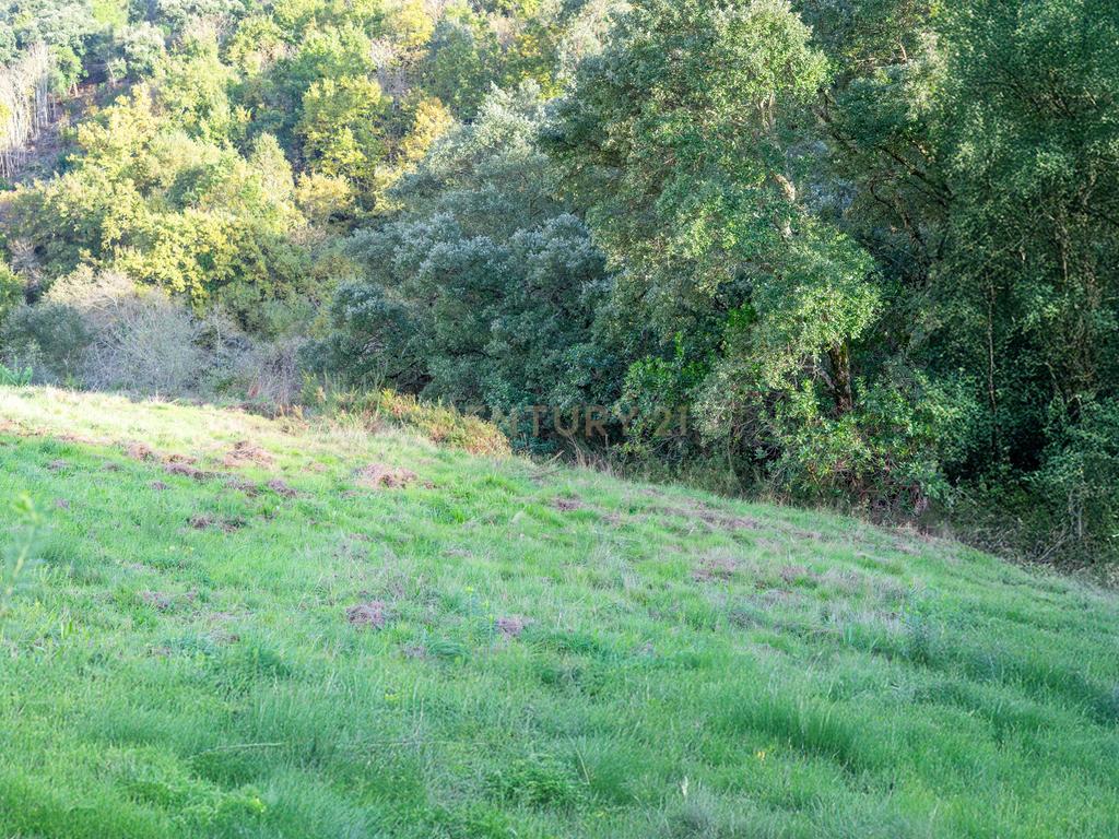 Terreno com possibilidade de Construção em Miranda do Corvo - Image 6