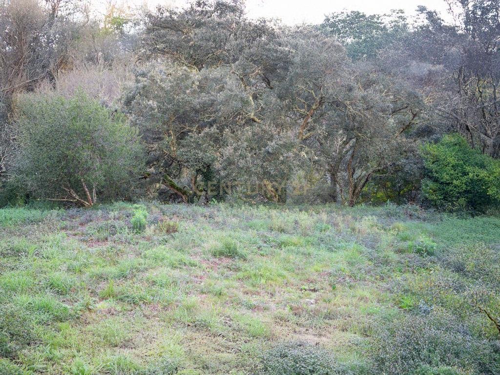 Terreno com possibilidade de Construção em Miranda do Corvo - Image 9