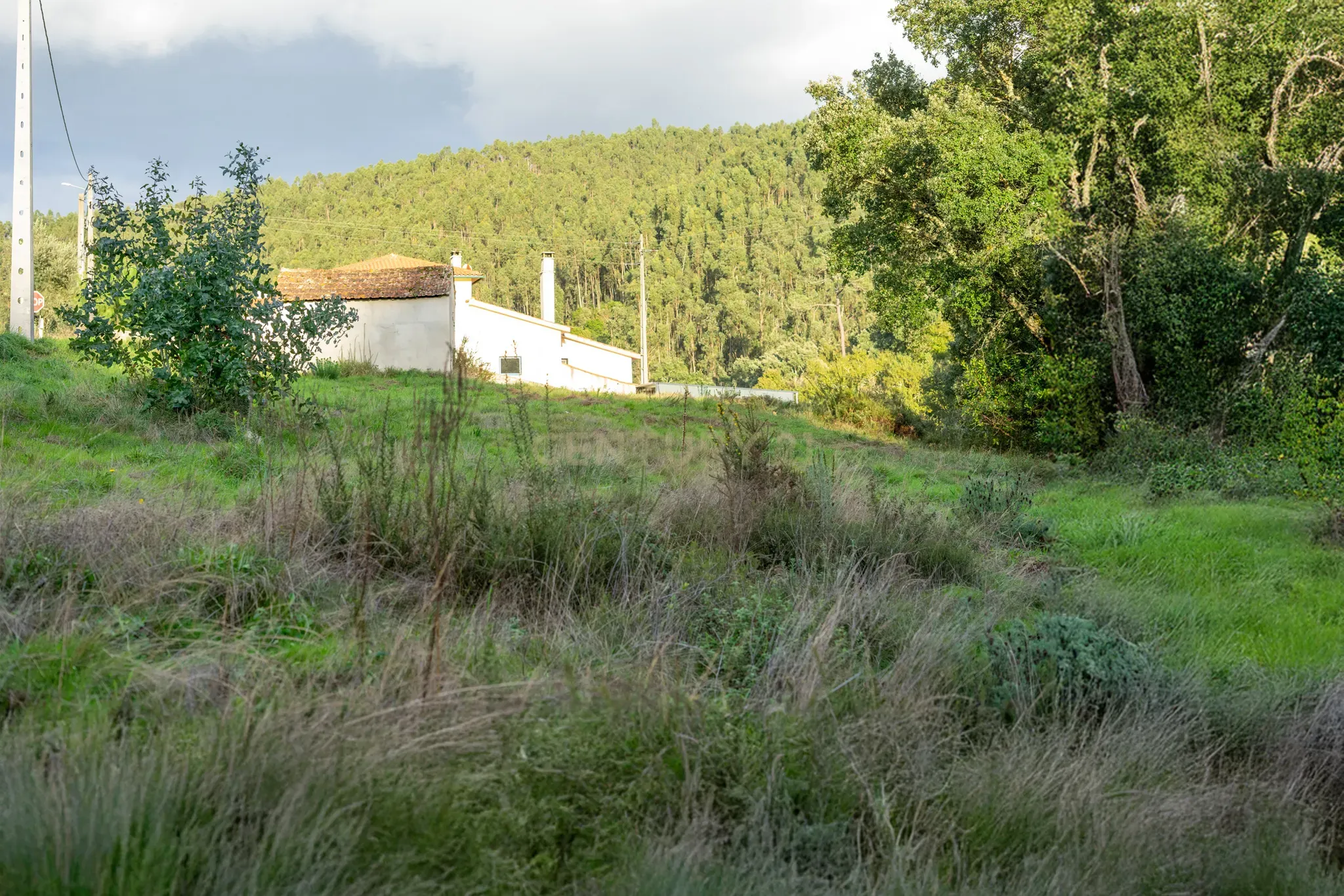 Terreno com possibilidade de Construção em Miranda do Corvo - Image 4