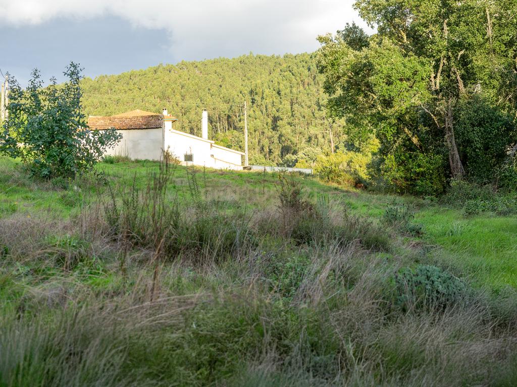Terreno com possibilidade de Construção em Miranda do Corvo - Image 4