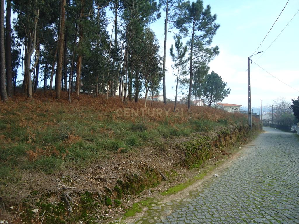 Terreno  construção com 899m2 em Alheira  - Barcelos - Image 6