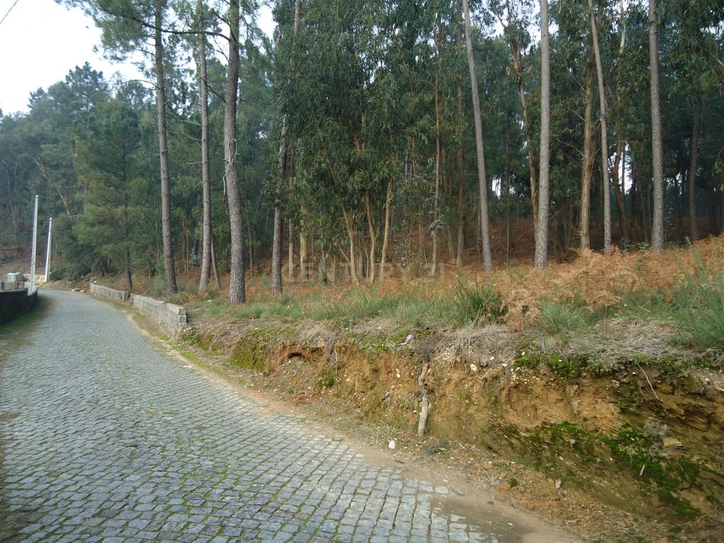 Terreno  construção com 899m2 em Alheira  - Barcelos - Image 7