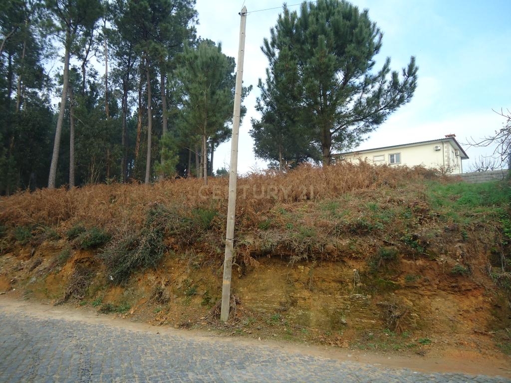 Terreno  construção com 899m2 em Alheira  - Barcelos - Image 16